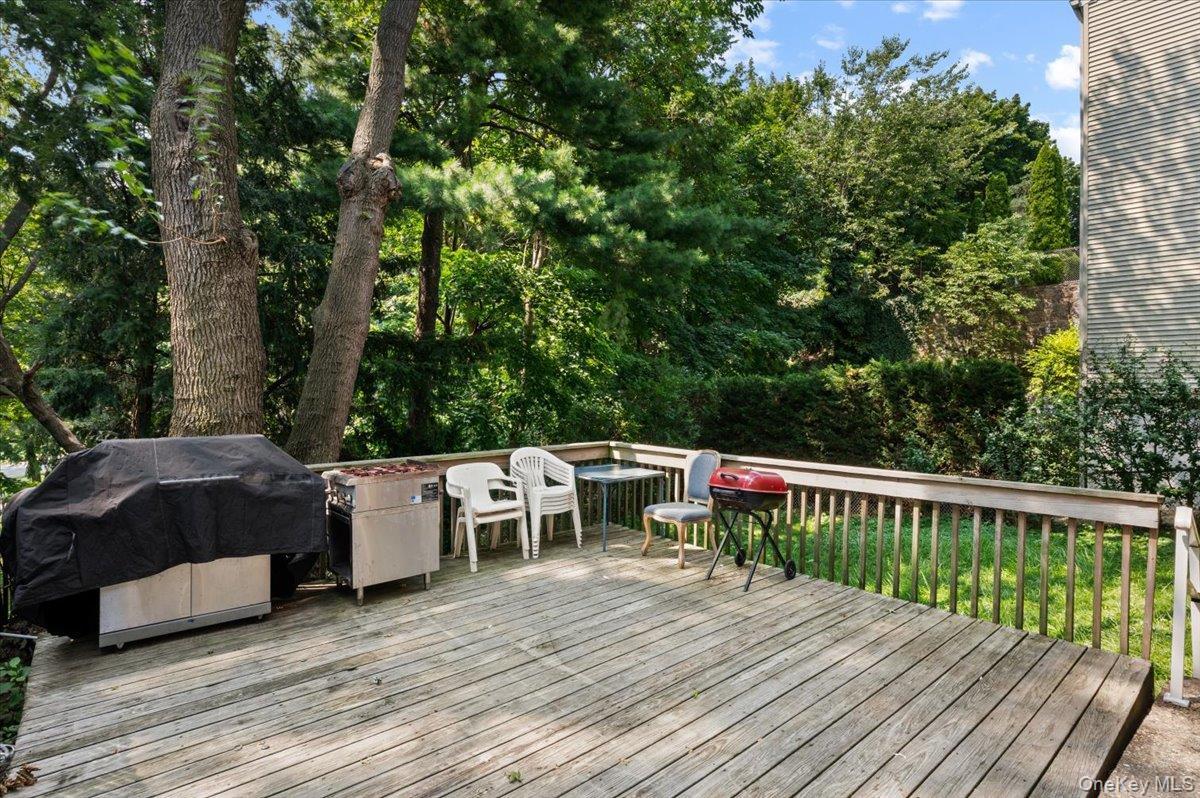Single Family Olivia Street Westchester County, NY 10573, MLS-1034173-4