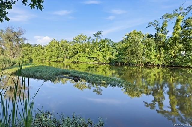 Single Family Dogwood Road Westchester County, NY 10567, MLS-1034245-8