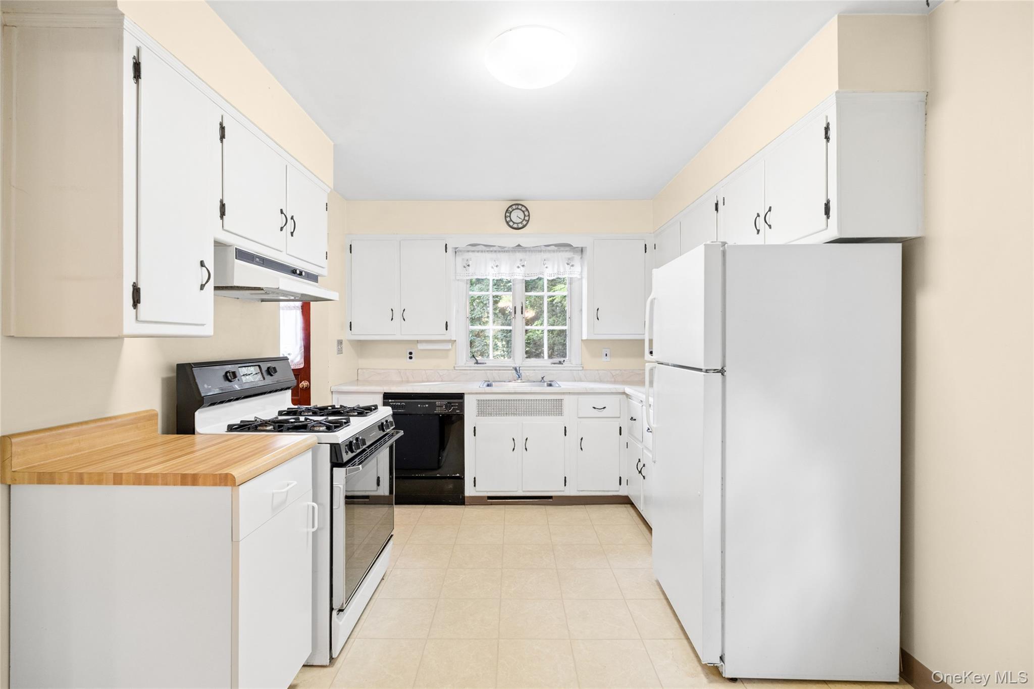Single Family Briarwood Drive Rockland County, NY 10956, MLS-1034246-23