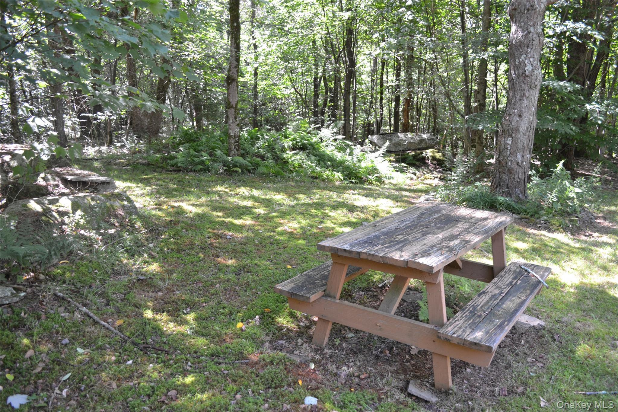 Single Family Campbell Mountain Road Delaware County, NY 13755, MLS-1034266-10
