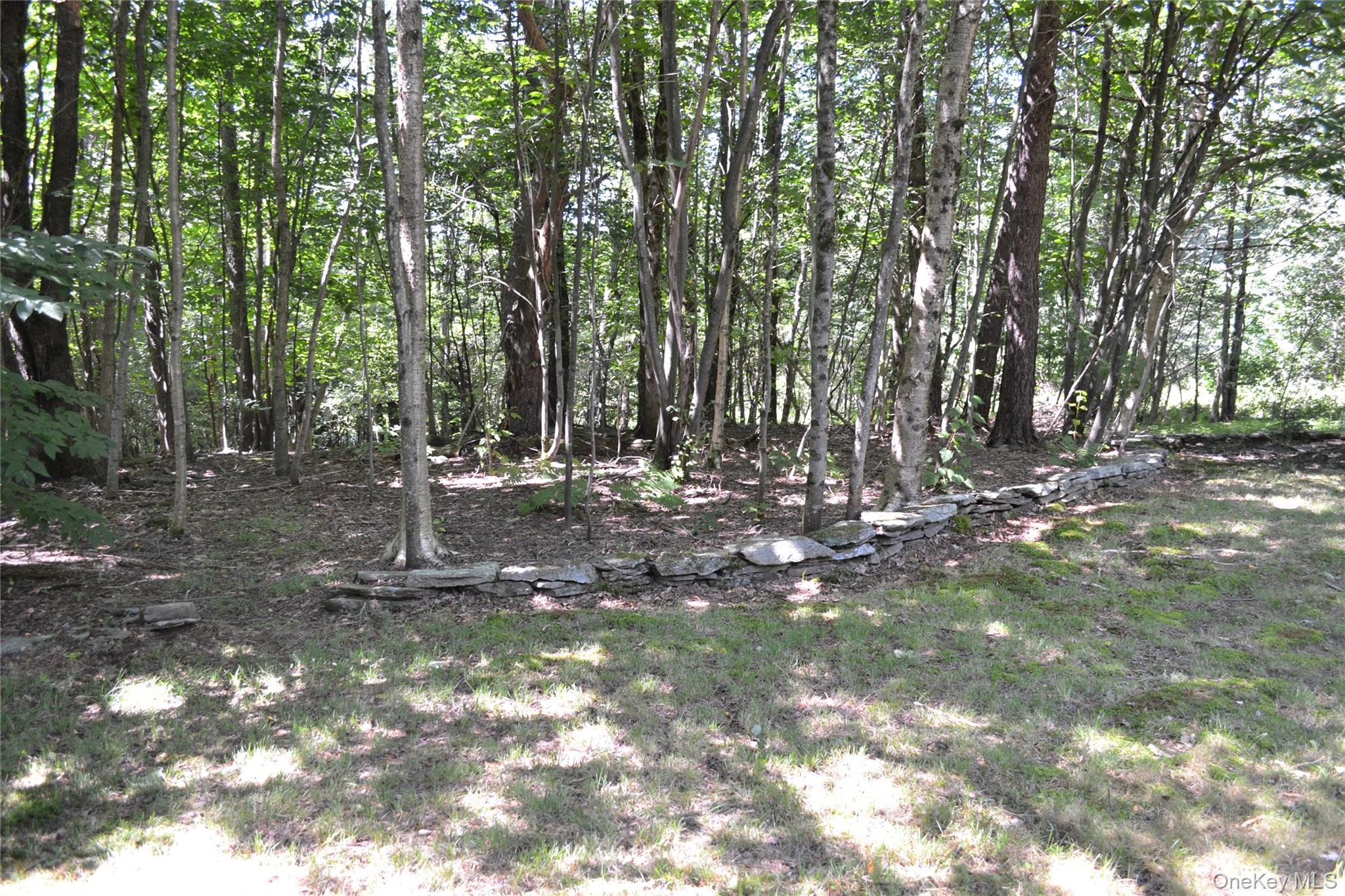 Single Family Campbell Mountain Road Delaware County, NY 13755, MLS-1034266-11