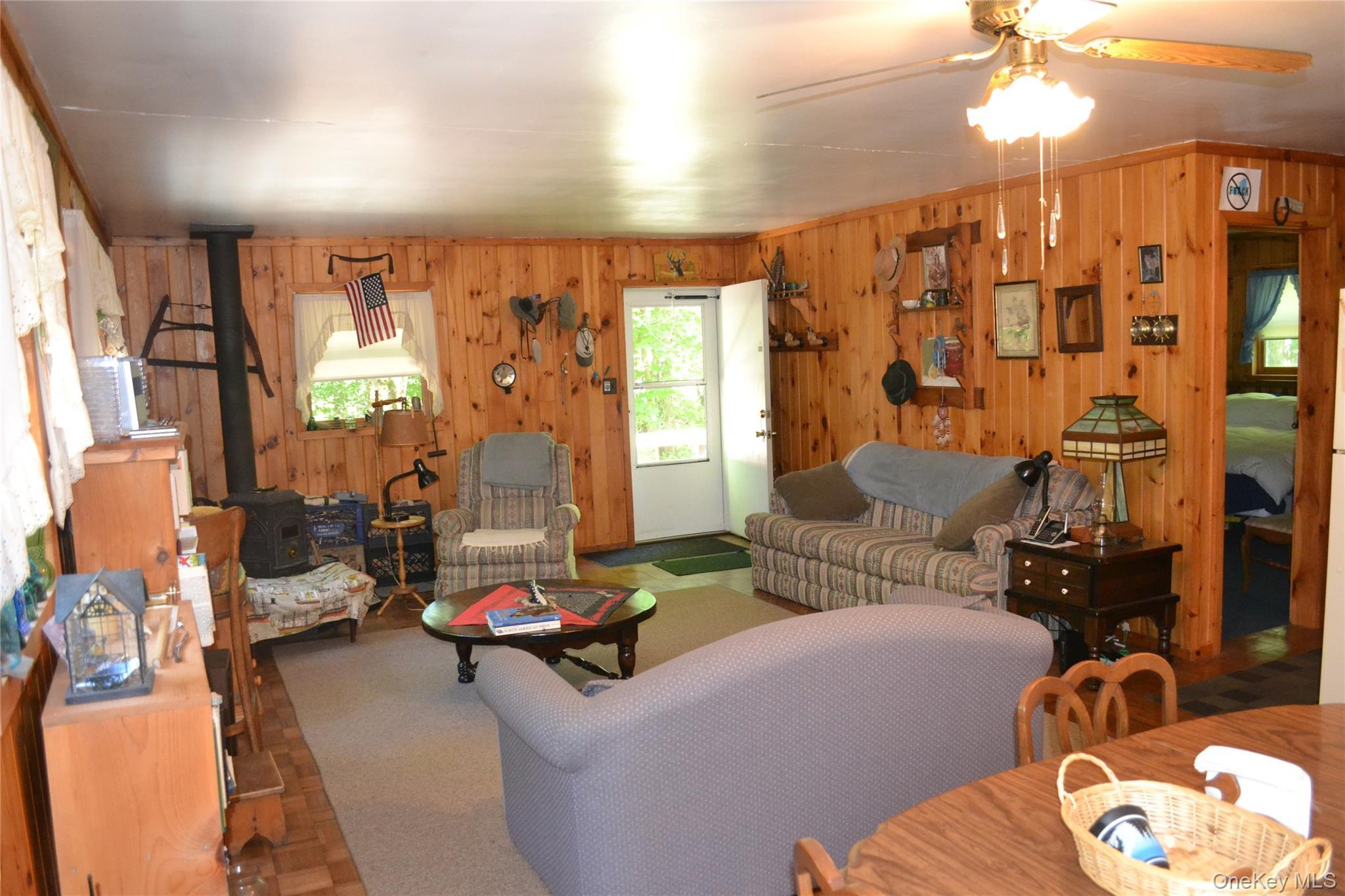 Single Family Campbell Mountain Road Delaware County, NY 13755, MLS-1034266-12