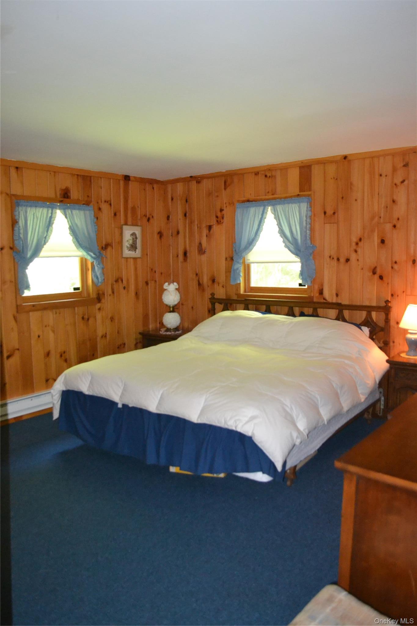 Single Family Campbell Mountain Road Delaware County, NY 13755, MLS-1034266-19