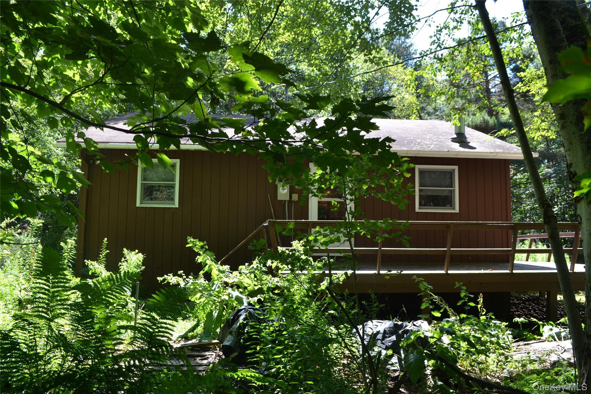 Single Family Campbell Mountain Road Delaware County, NY 13755, MLS-1034266-2