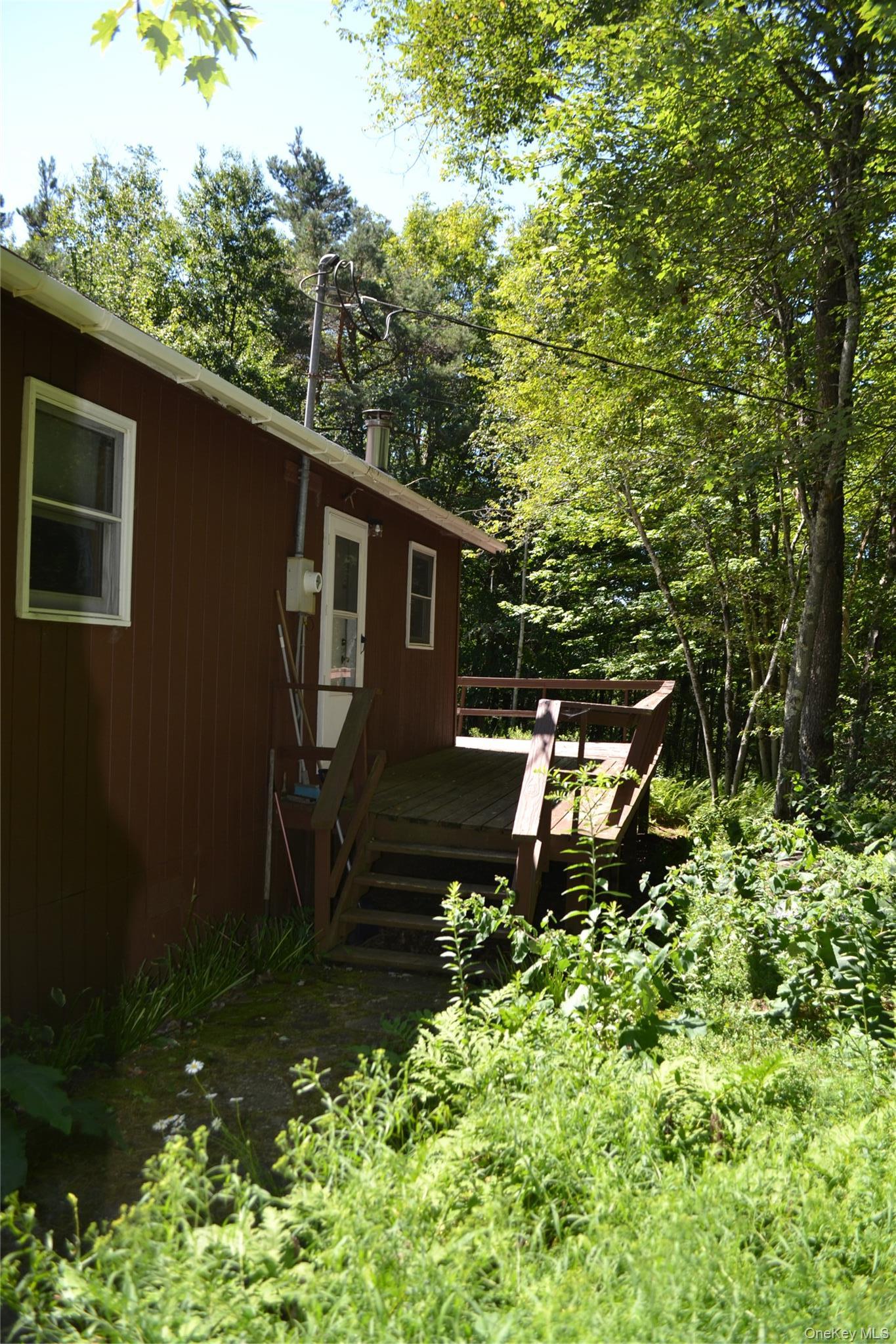 Single Family Campbell Mountain Road Delaware County, NY 13755, MLS-1034266-27