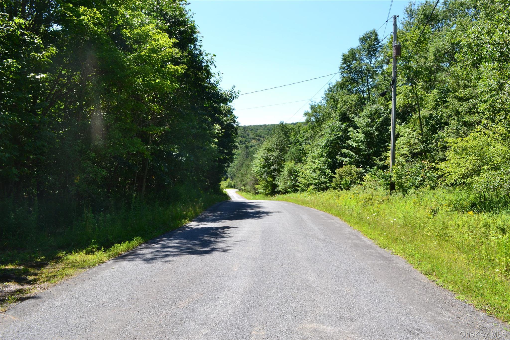 Single Family Campbell Mountain Road Delaware County, NY 13755, MLS-1034266-28