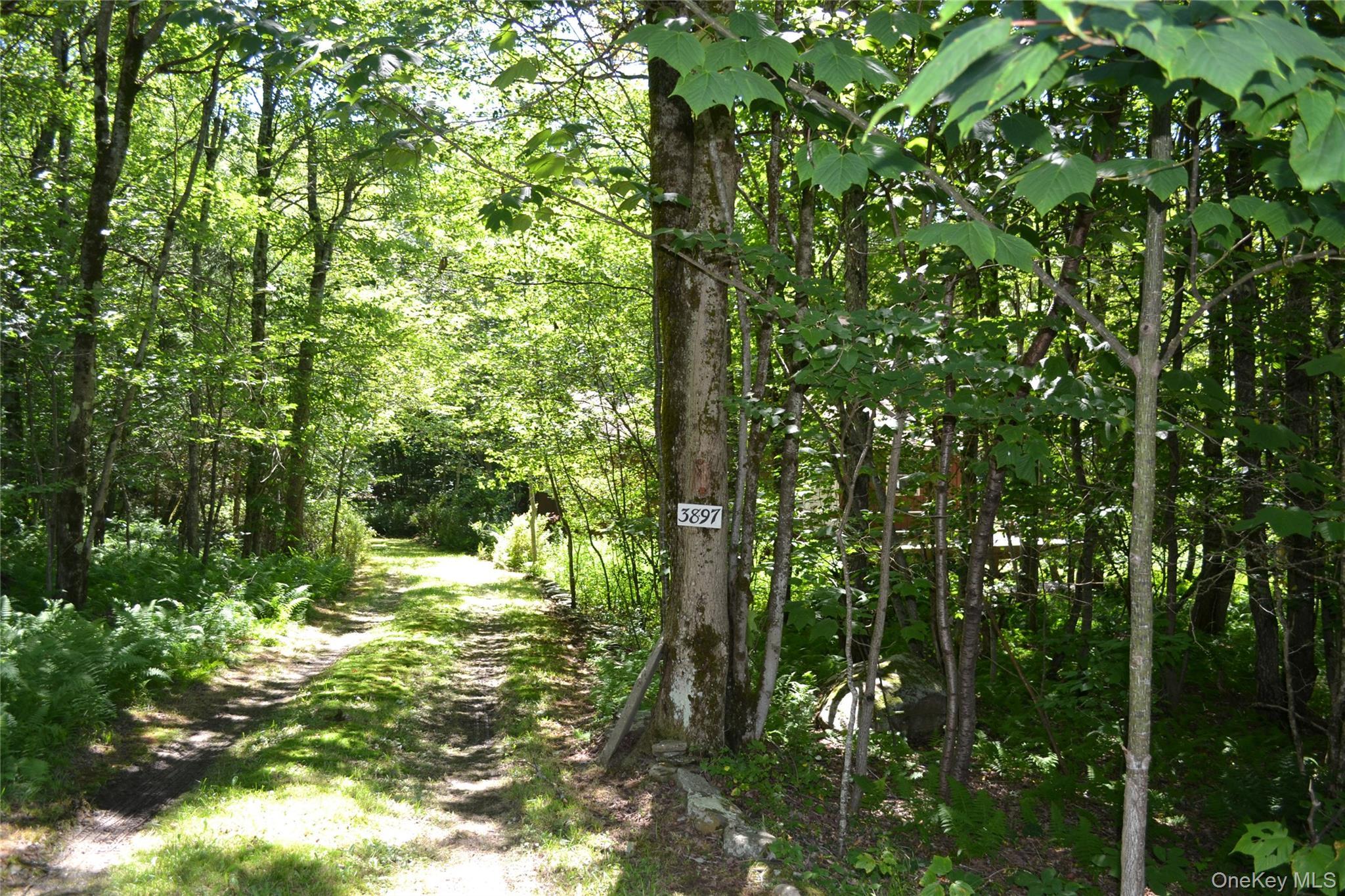 Single Family Campbell Mountain Road Delaware County, NY 13755, MLS-1034266-29