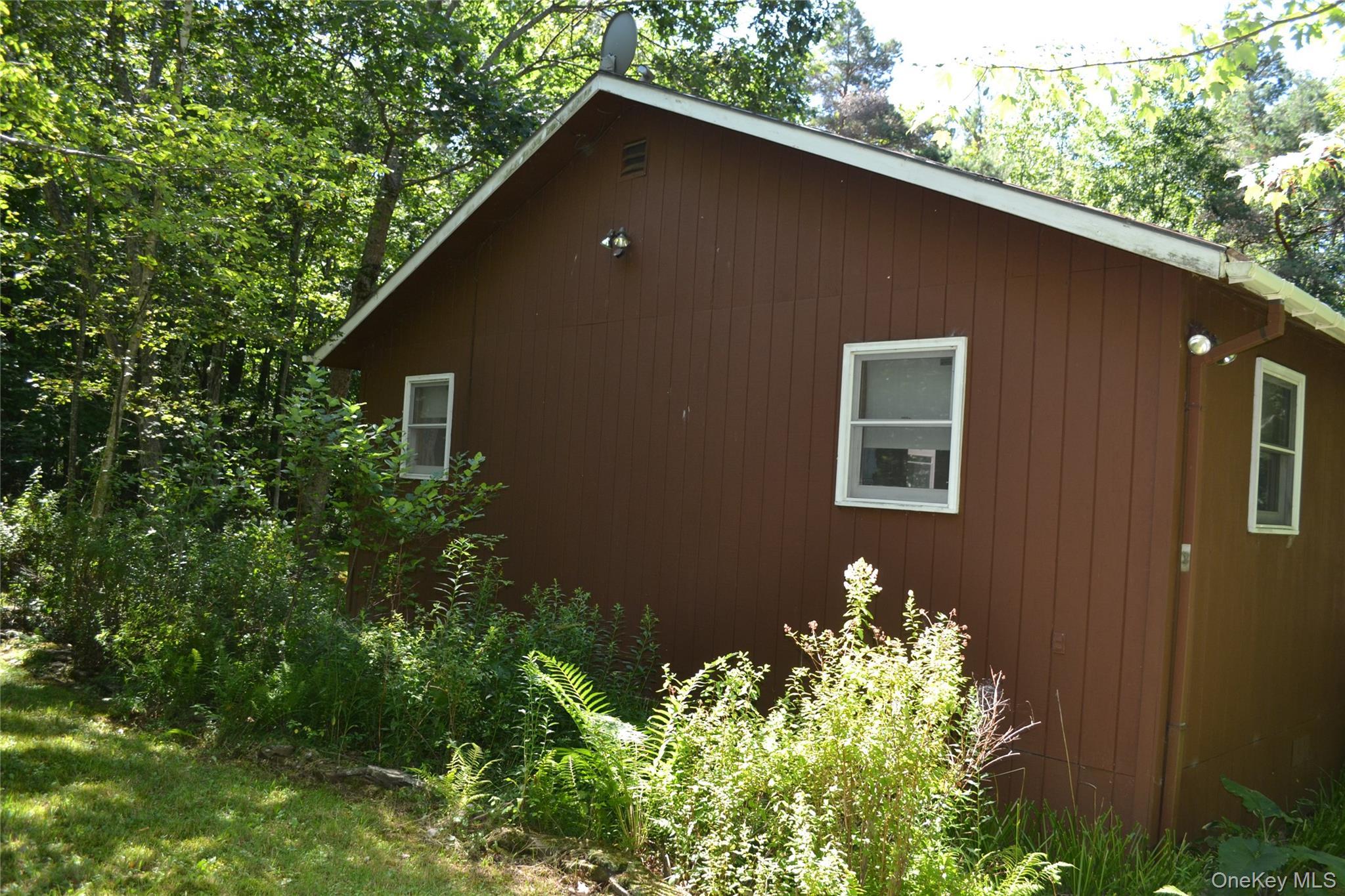 Single Family Campbell Mountain Road Delaware County, NY 13755, MLS-1034266-3