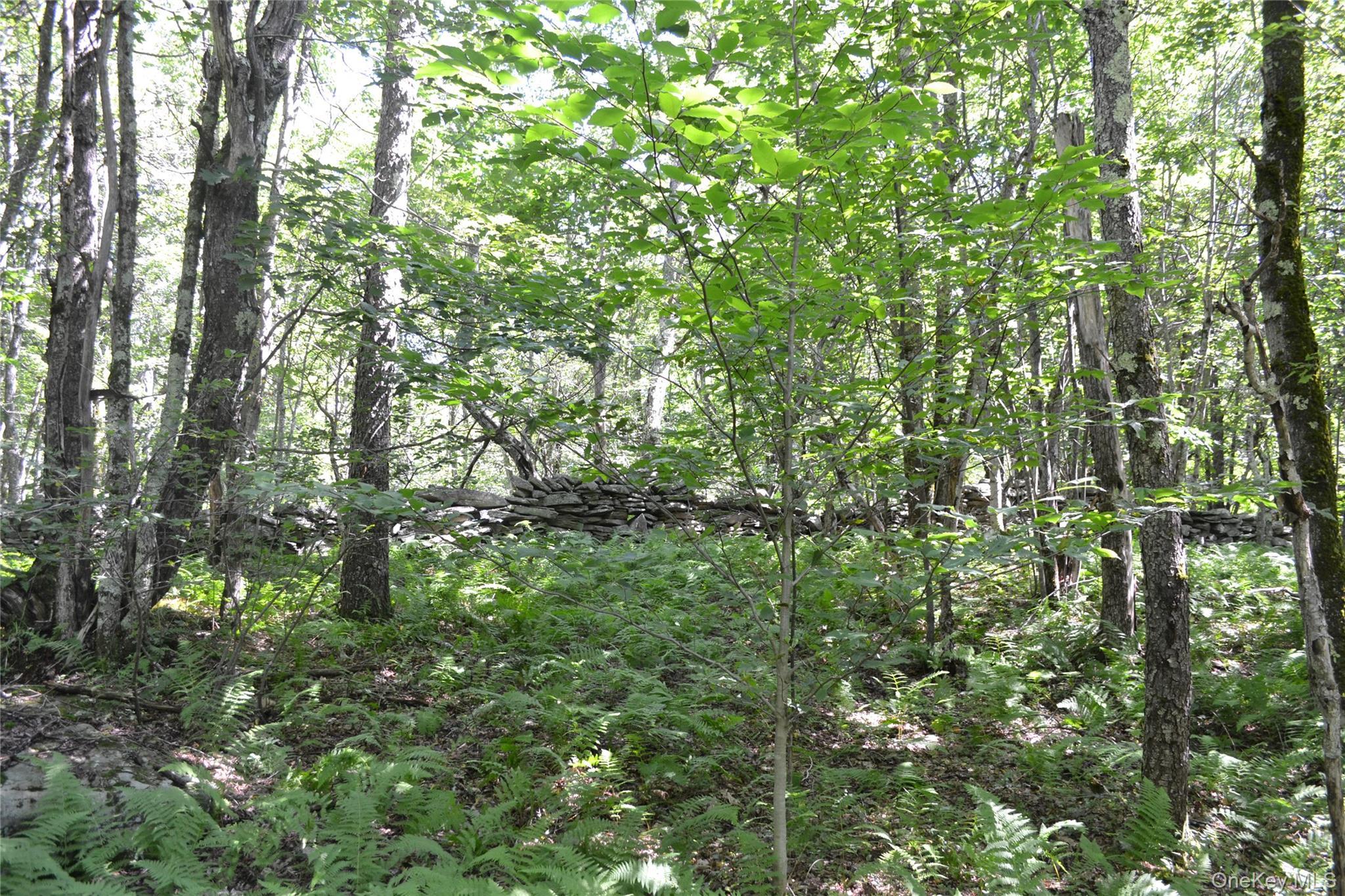 Single Family Campbell Mountain Road Delaware County, NY 13755, MLS-1034266-5