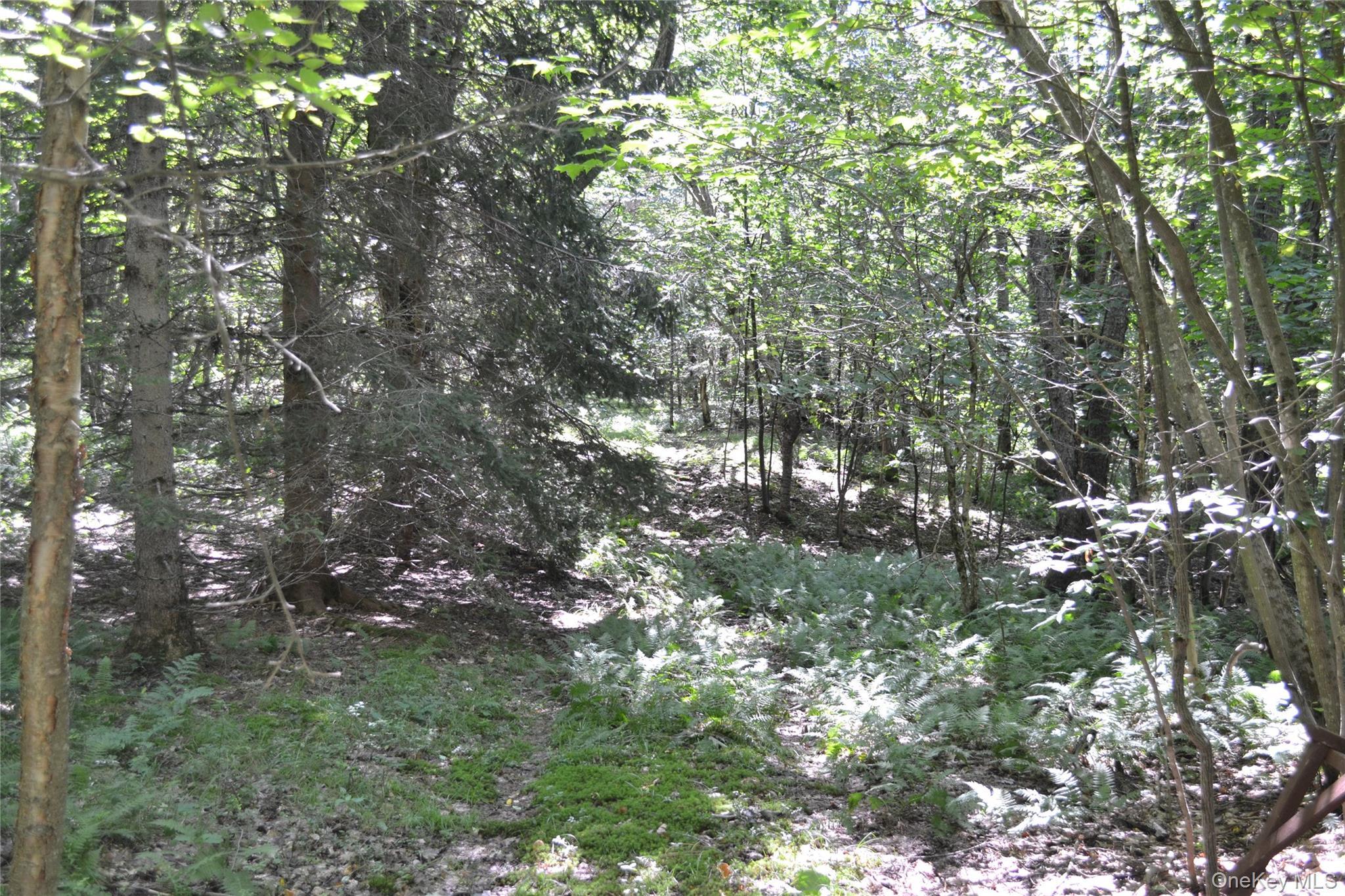 Single Family Campbell Mountain Road Delaware County, NY 13755, MLS-1034266-6