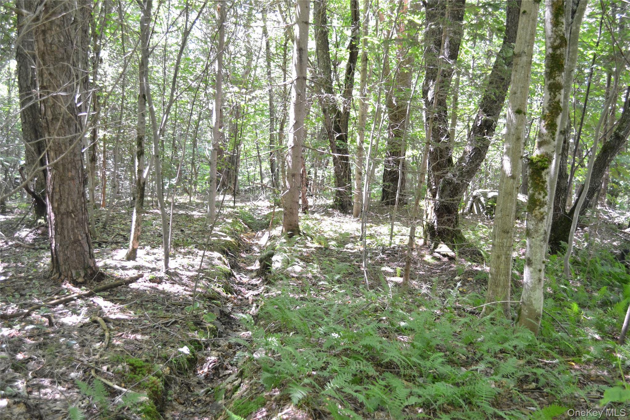 Single Family Campbell Mountain Road Delaware County, NY 13755, MLS-1034266-7