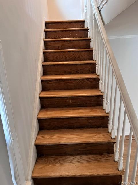 Single Family Esplanade Avenue Bronx, NY 10461, MLS-1034308-16