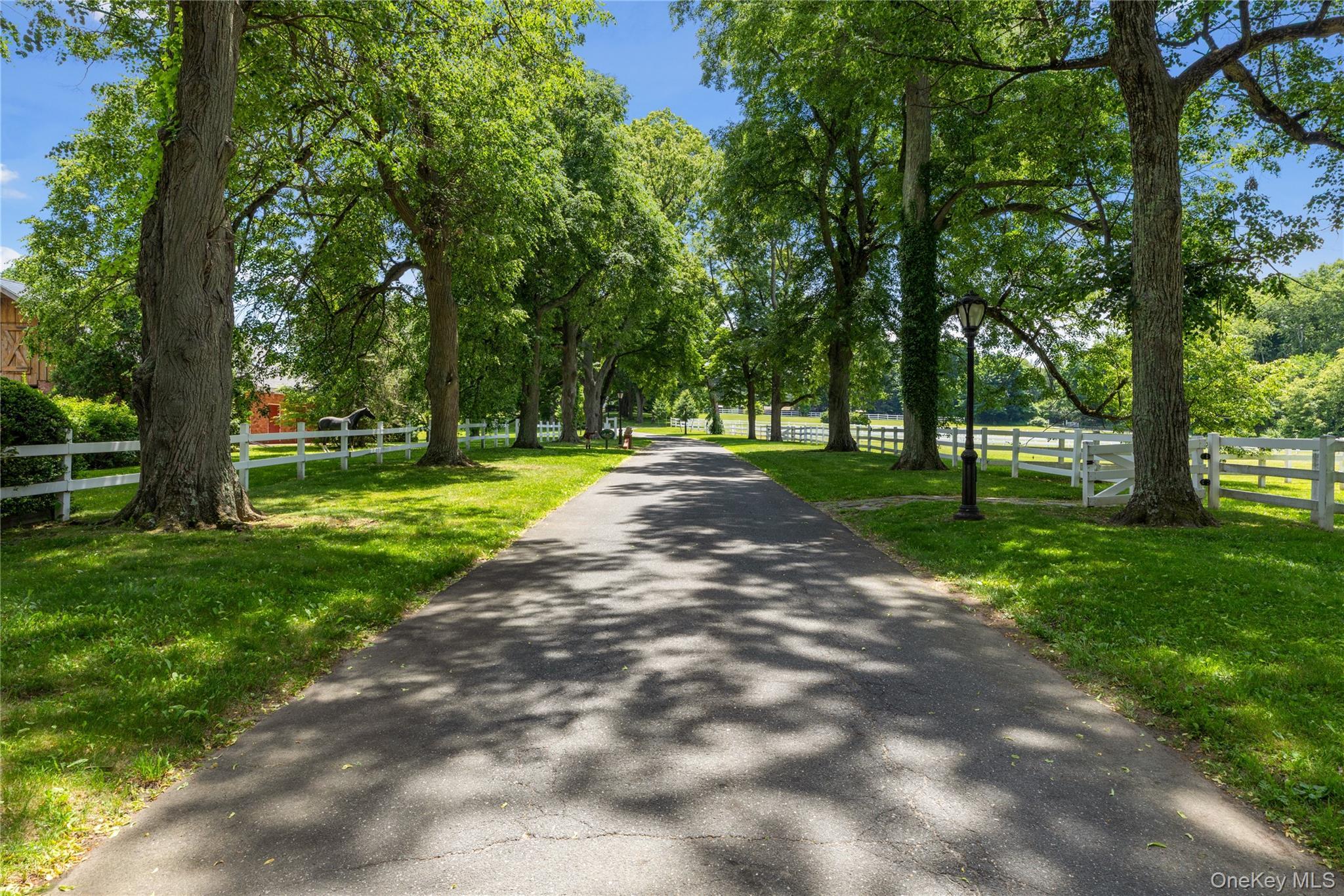 Single Family Pound Hollow Road Nassau County, NY 11545, MLS-1034316-5
