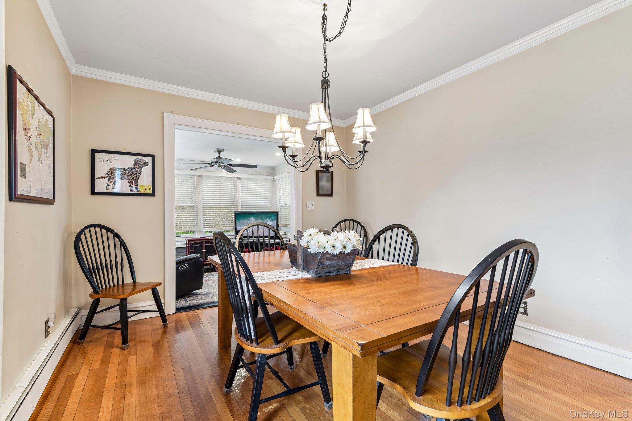 Single Family William Street  Nassau County, NY 11596, MLS-1034339-9