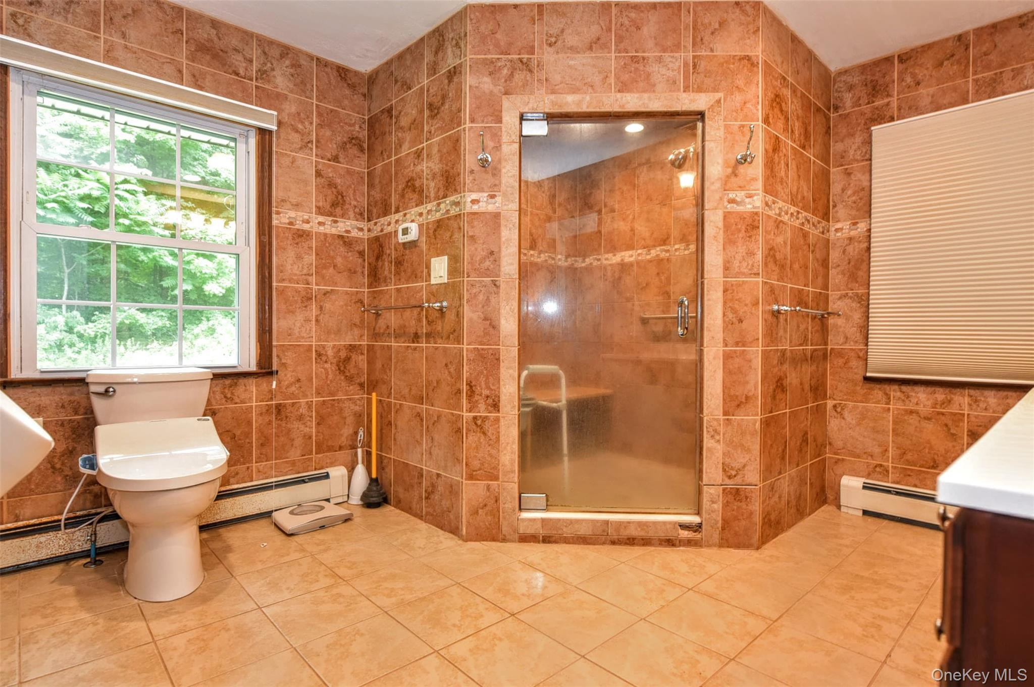 Single Family Old Dutch Hollow Road Orange County, NY 10950, MLS-1034355-21