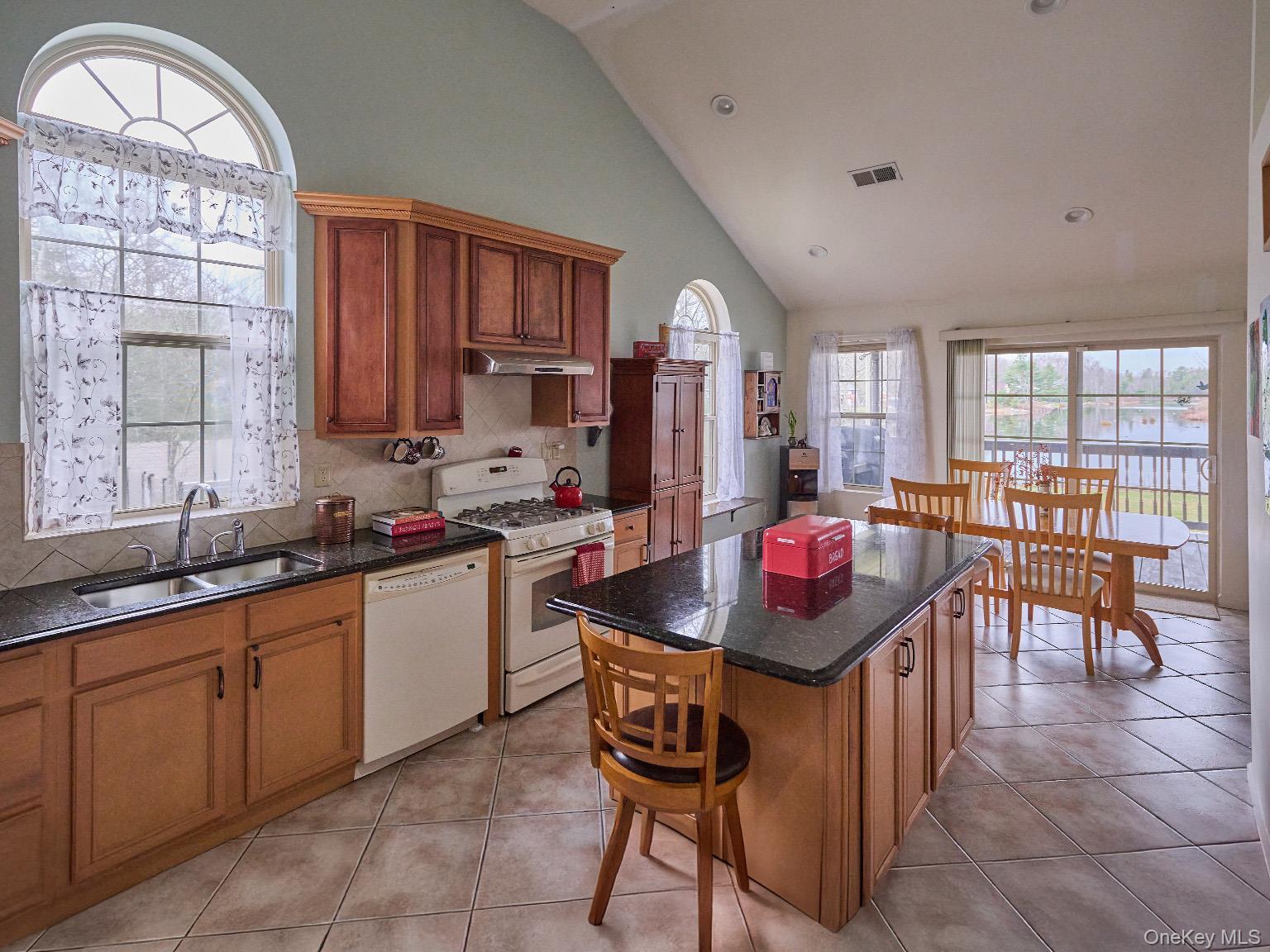 Single Family Lake Shore Drive W Sullivan County, NY 12775, MLS-1034438-5