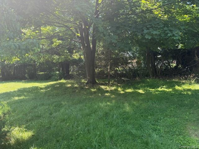 Single Family Hillcrest Avenue  Orange County, NY 10950, MLS-1034445-4