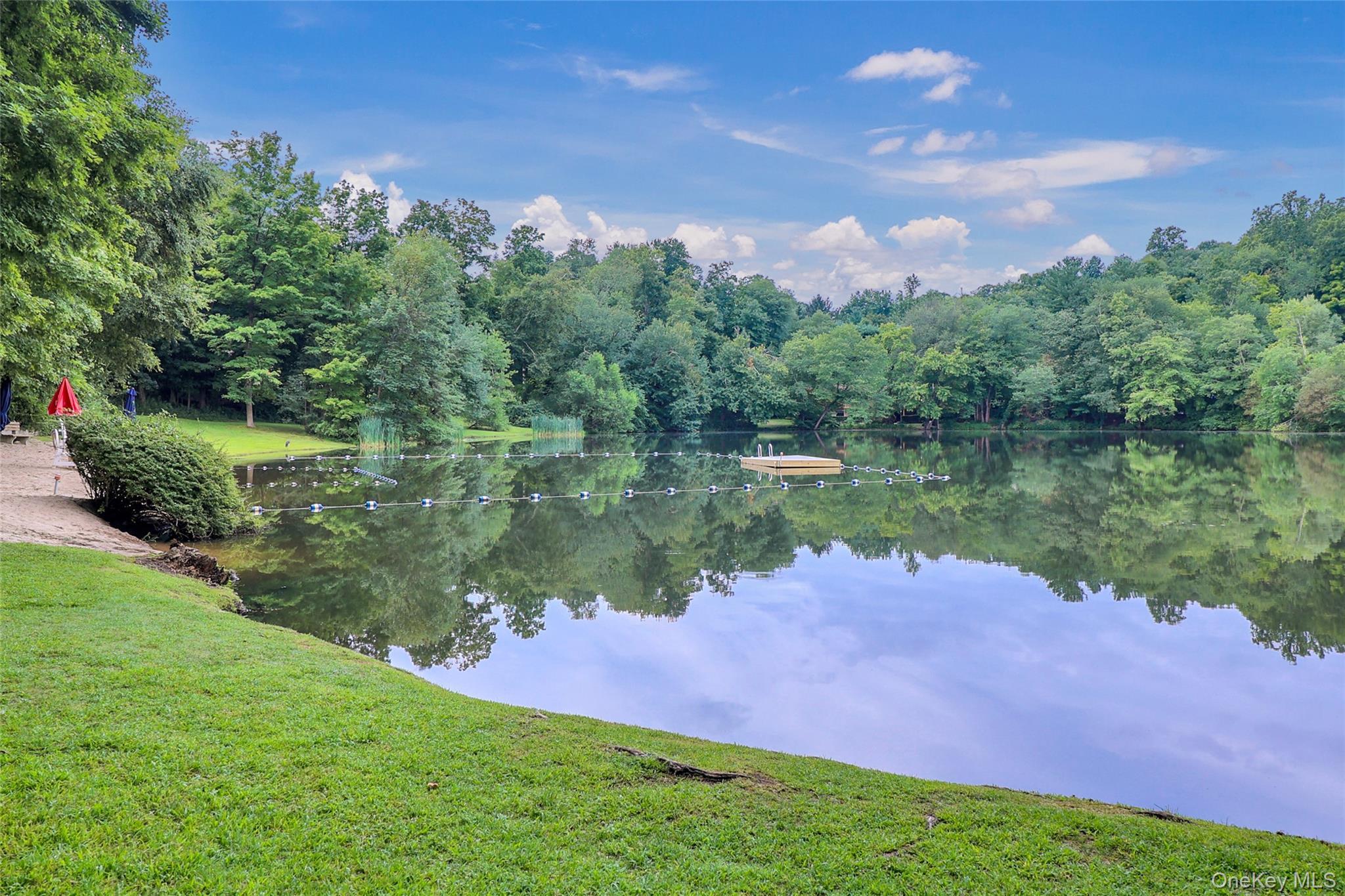 Single Family Saw Mill River Road  Westchester County, NY 10546, MLS-1034483-36