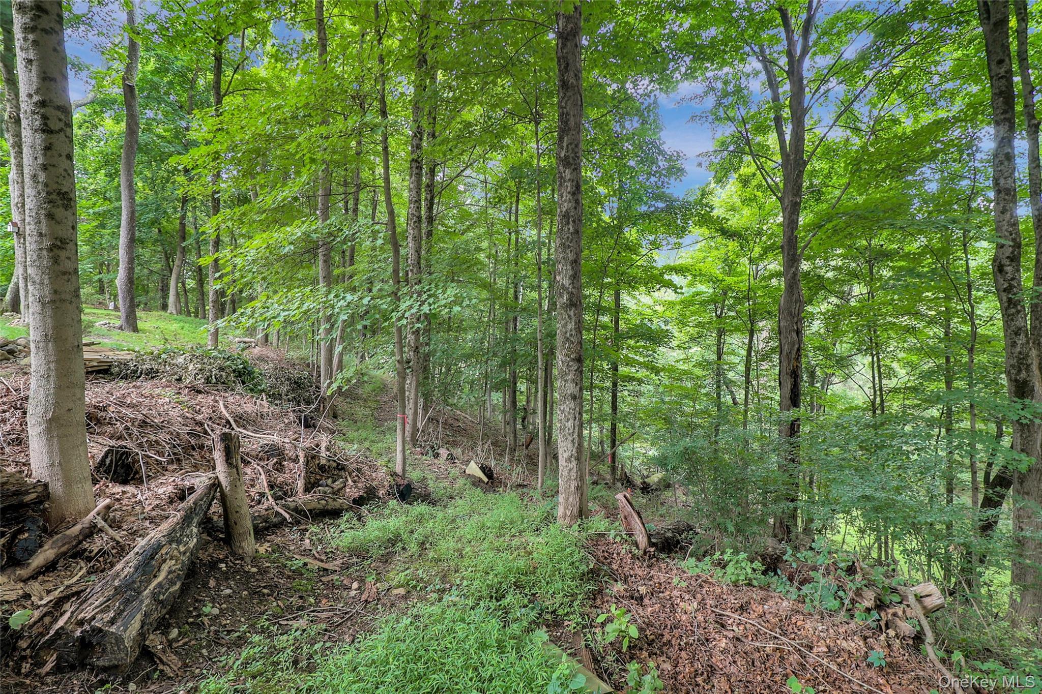 Single Family Saw Mill River Road Westchester County, NY 10546, MLS-1034483-6