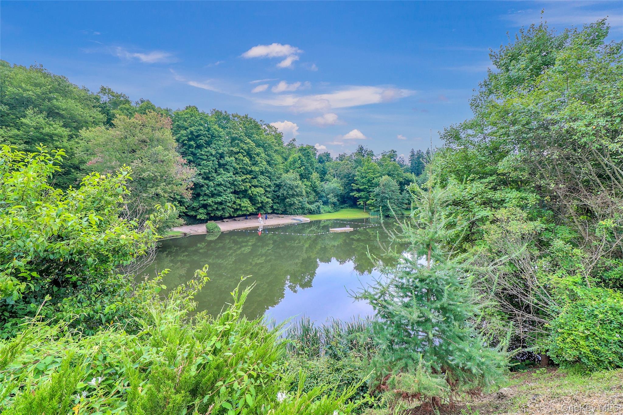 Single Family Saw Mill River Road Westchester County, NY 10546, MLS-1034483-9