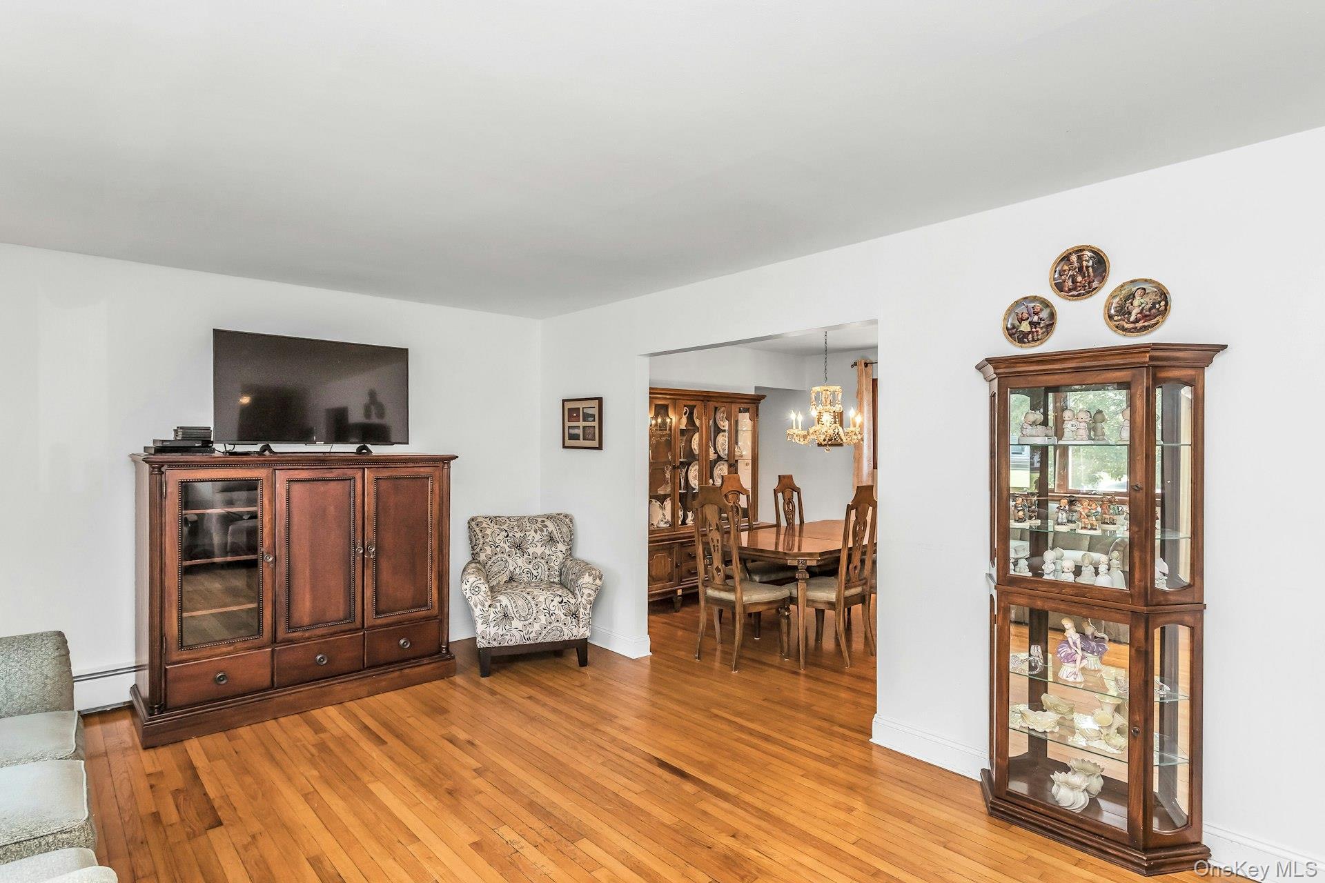 Single Family Jerome Street  Suffolk County, NY 11757, MLS-1034488-3