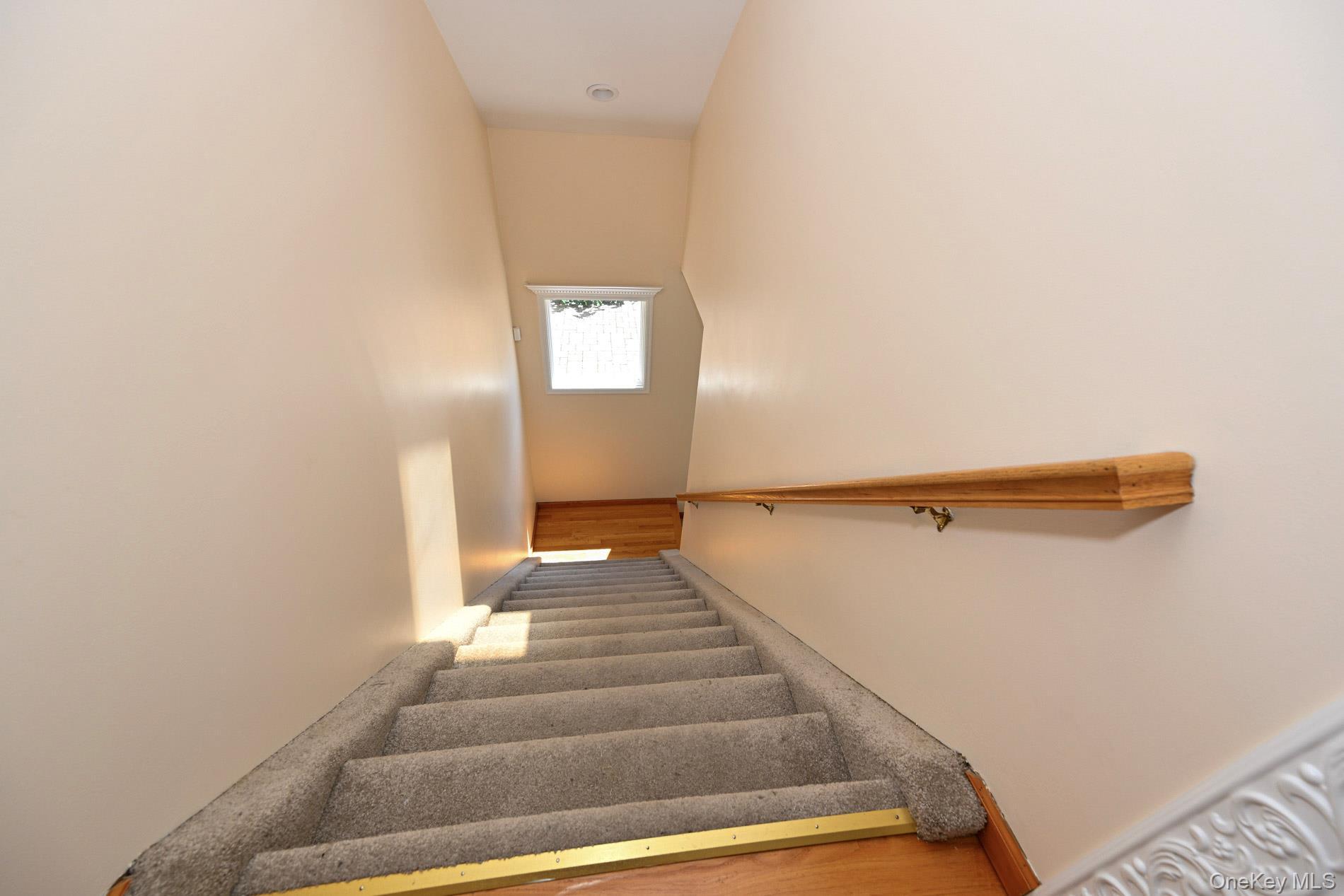 Single Family Maloon Avenue  Nassau County, NY 11010, MLS-1034516-16