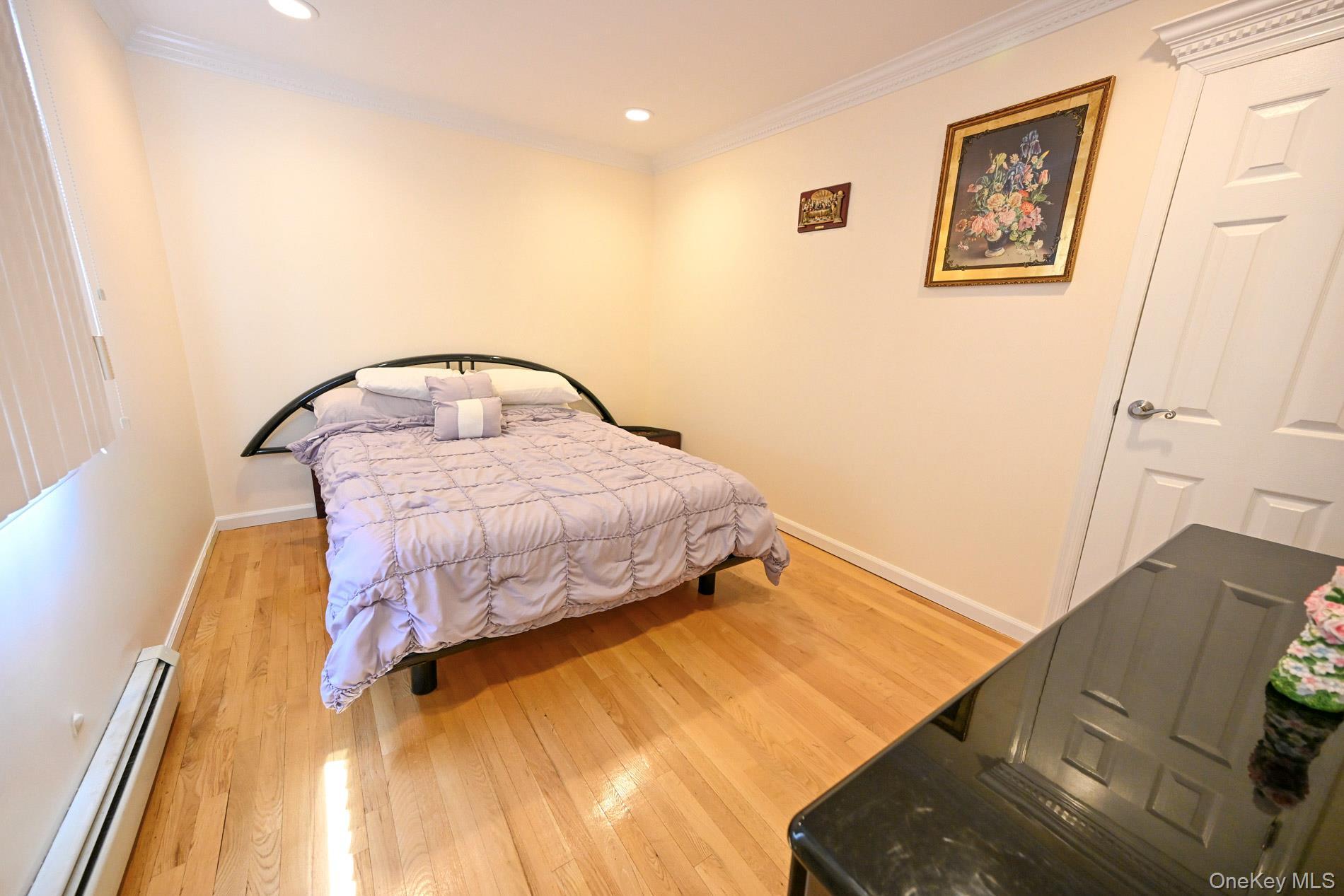 Single Family Maloon Avenue  Nassau County, NY 11010, MLS-1034516-26