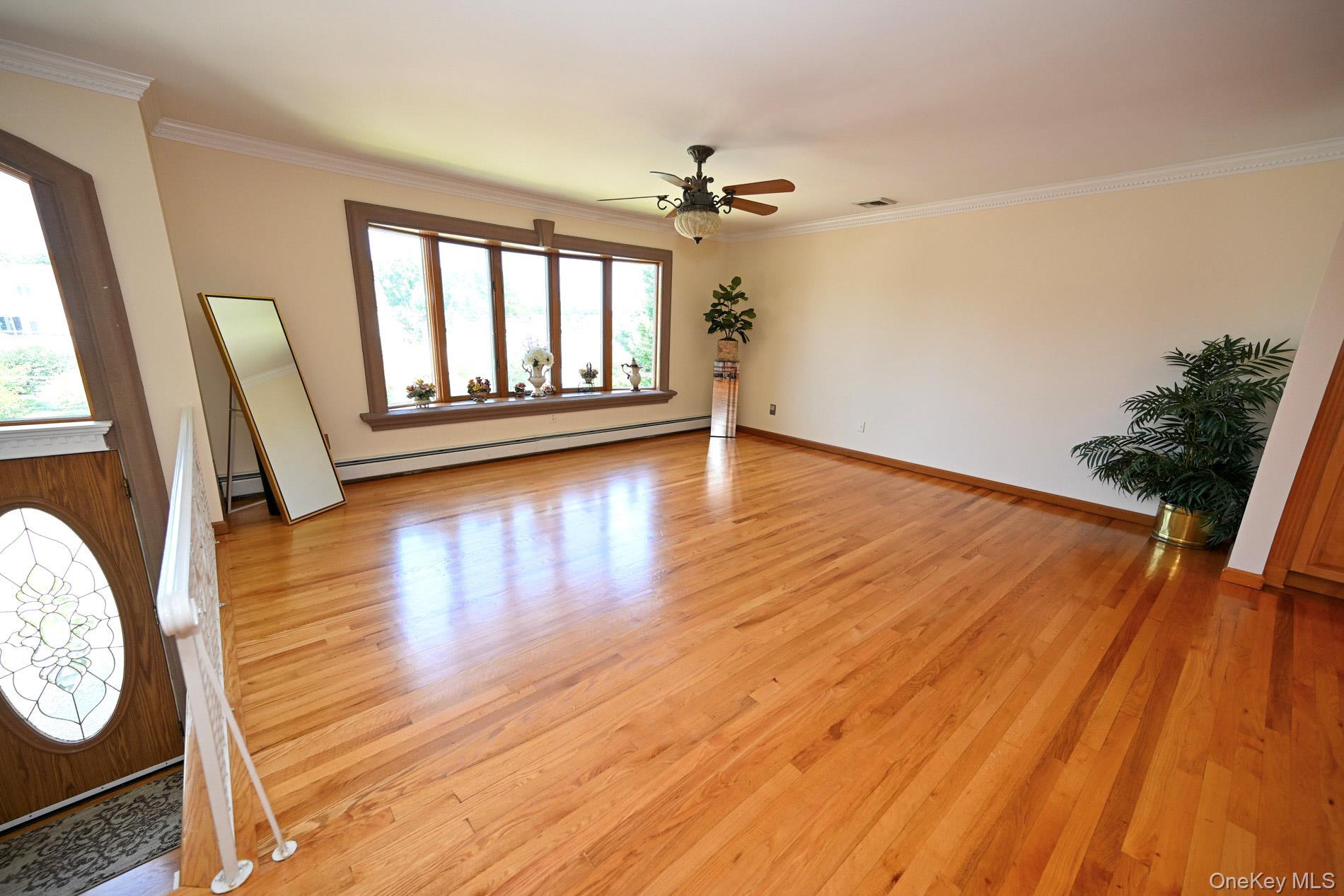 Single Family Maloon Avenue  Nassau County, NY 11010, MLS-1034516-9