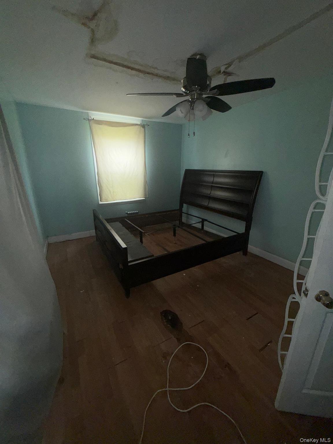Single Family Crystal Street Brooklyn, NY 11208, MLS-1034564-11