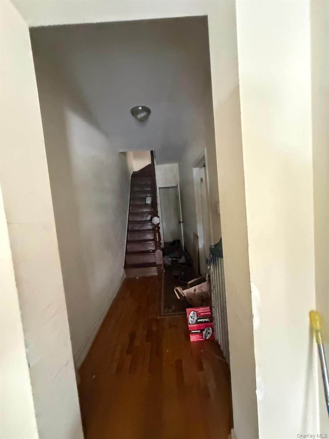 Single Family Crystal Street Brooklyn, NY 11208, MLS-1034564-3