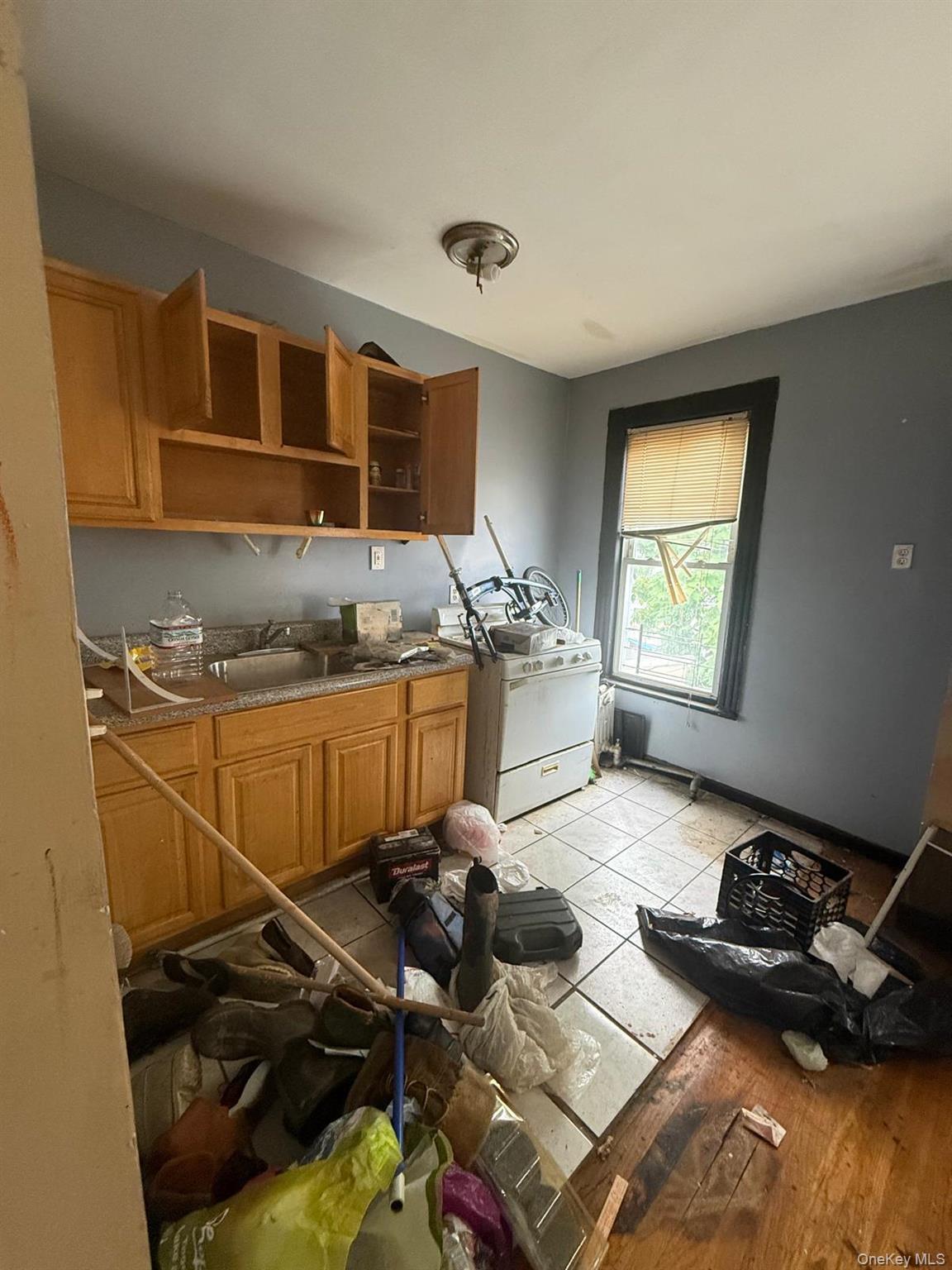 Single Family Crystal Street Brooklyn, NY 11208, MLS-1034564-4