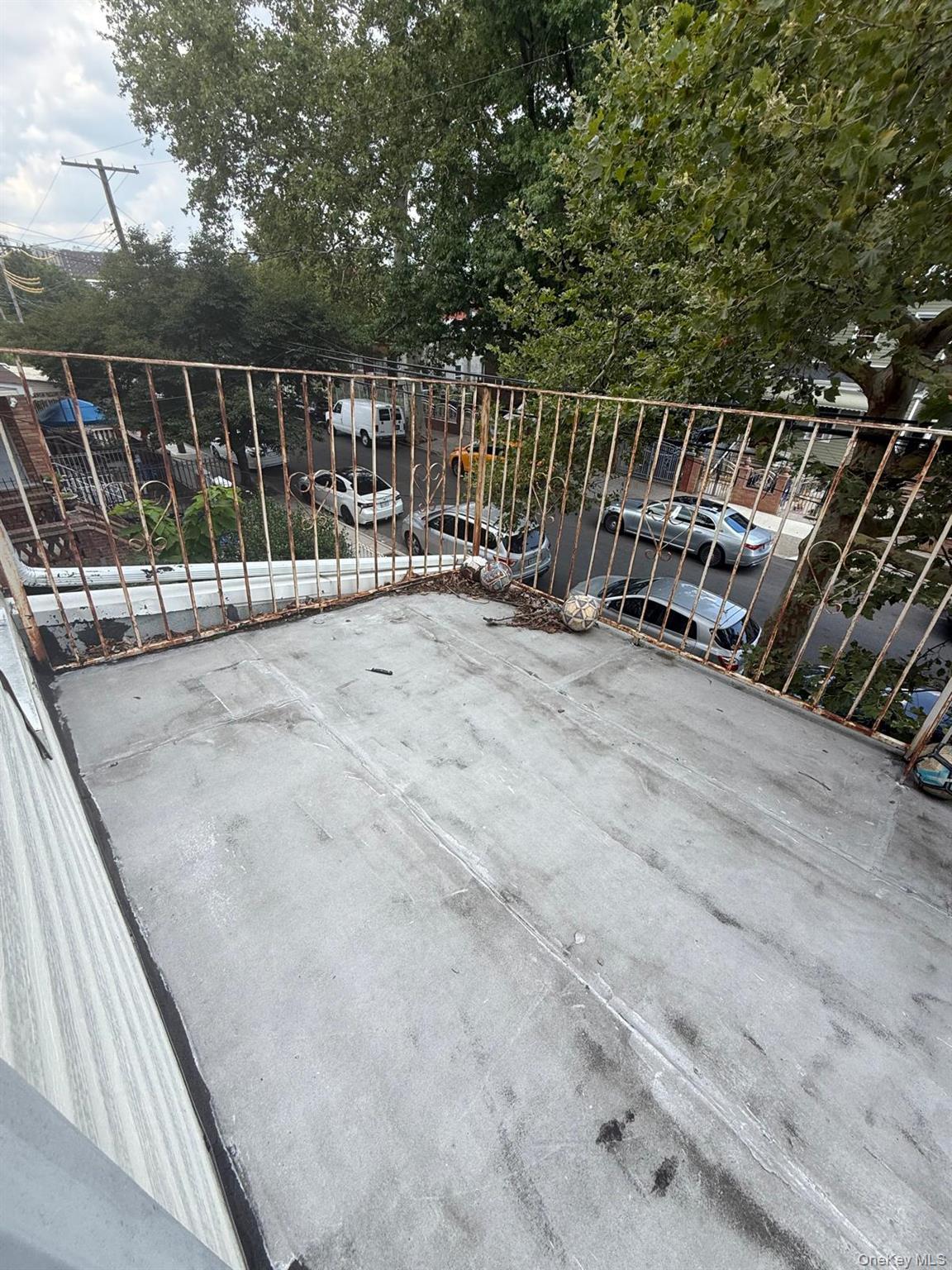 Single Family Crystal Street Brooklyn, NY 11208, MLS-1034564-5