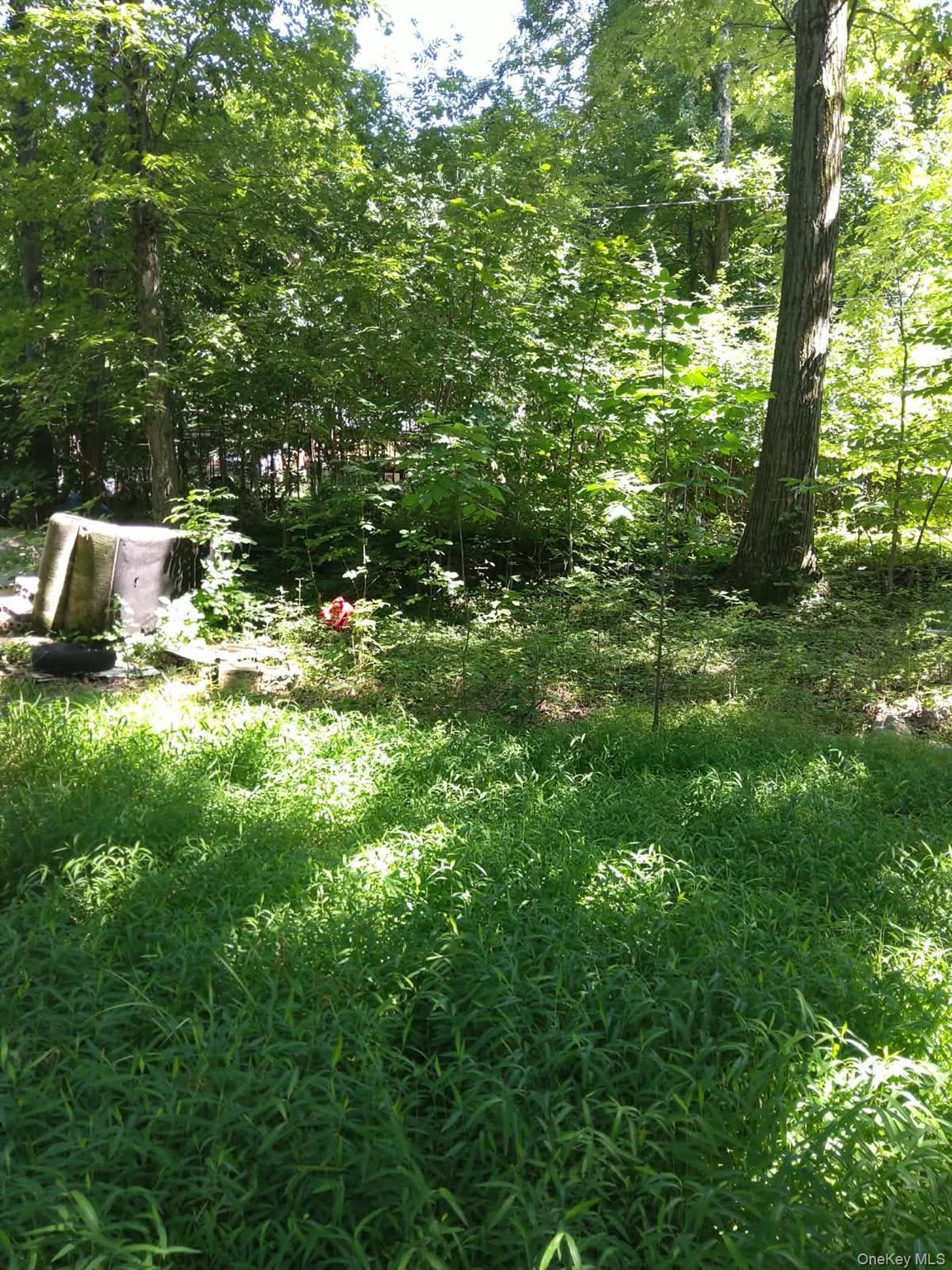 Single Family Arcardian Trail Orange County, NY 10950, MLS-1034588-13
