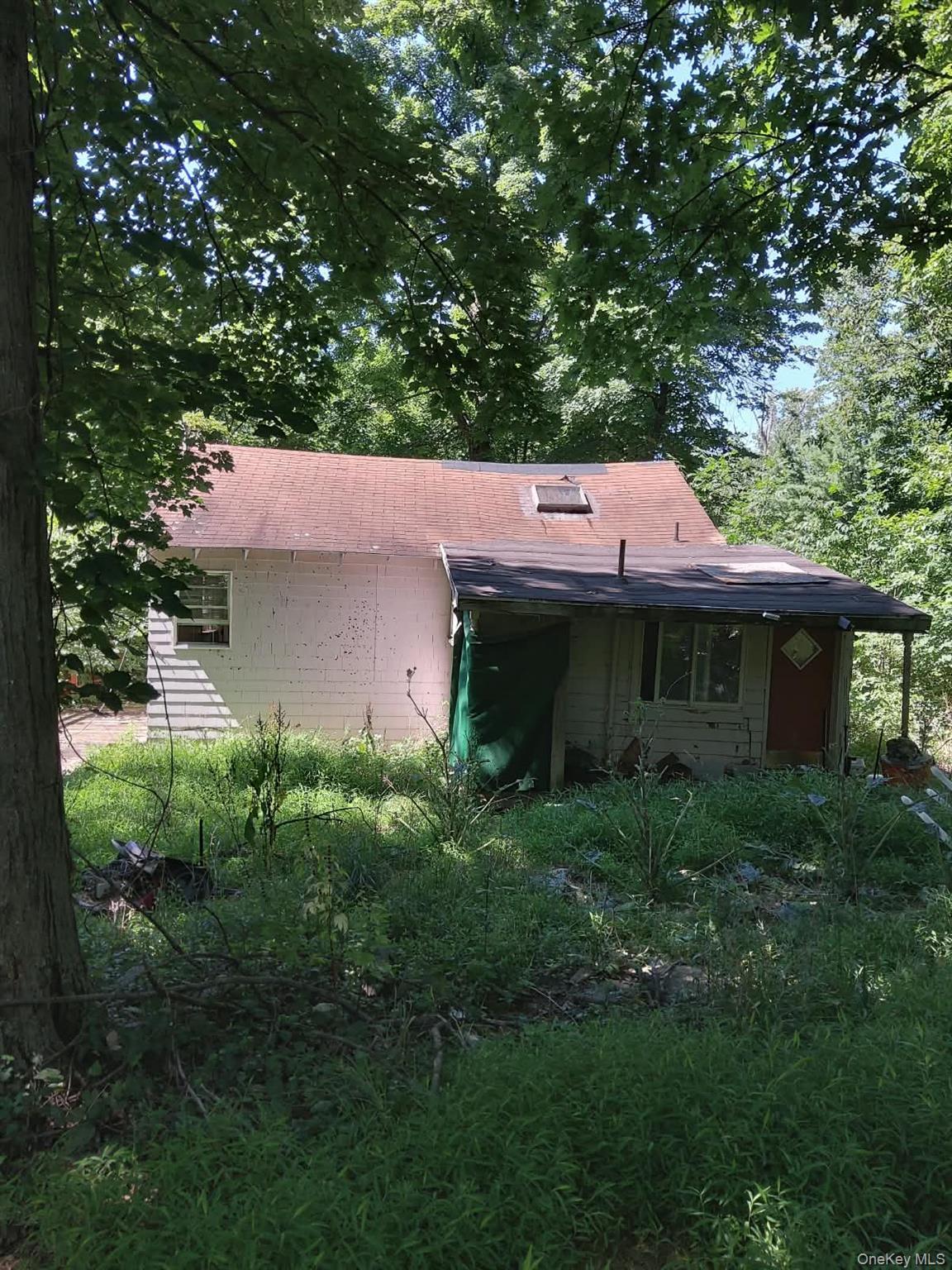 Single Family Arcardian Trail Orange County, NY 10950, MLS-1034588-3