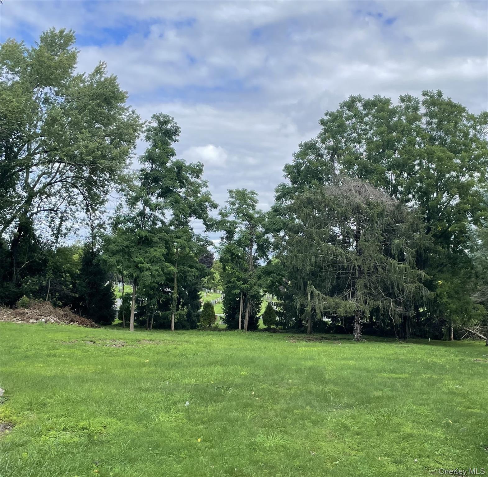 Single Family Jackson Street  Dutchess County, NY 12524, MLS-1034609-8