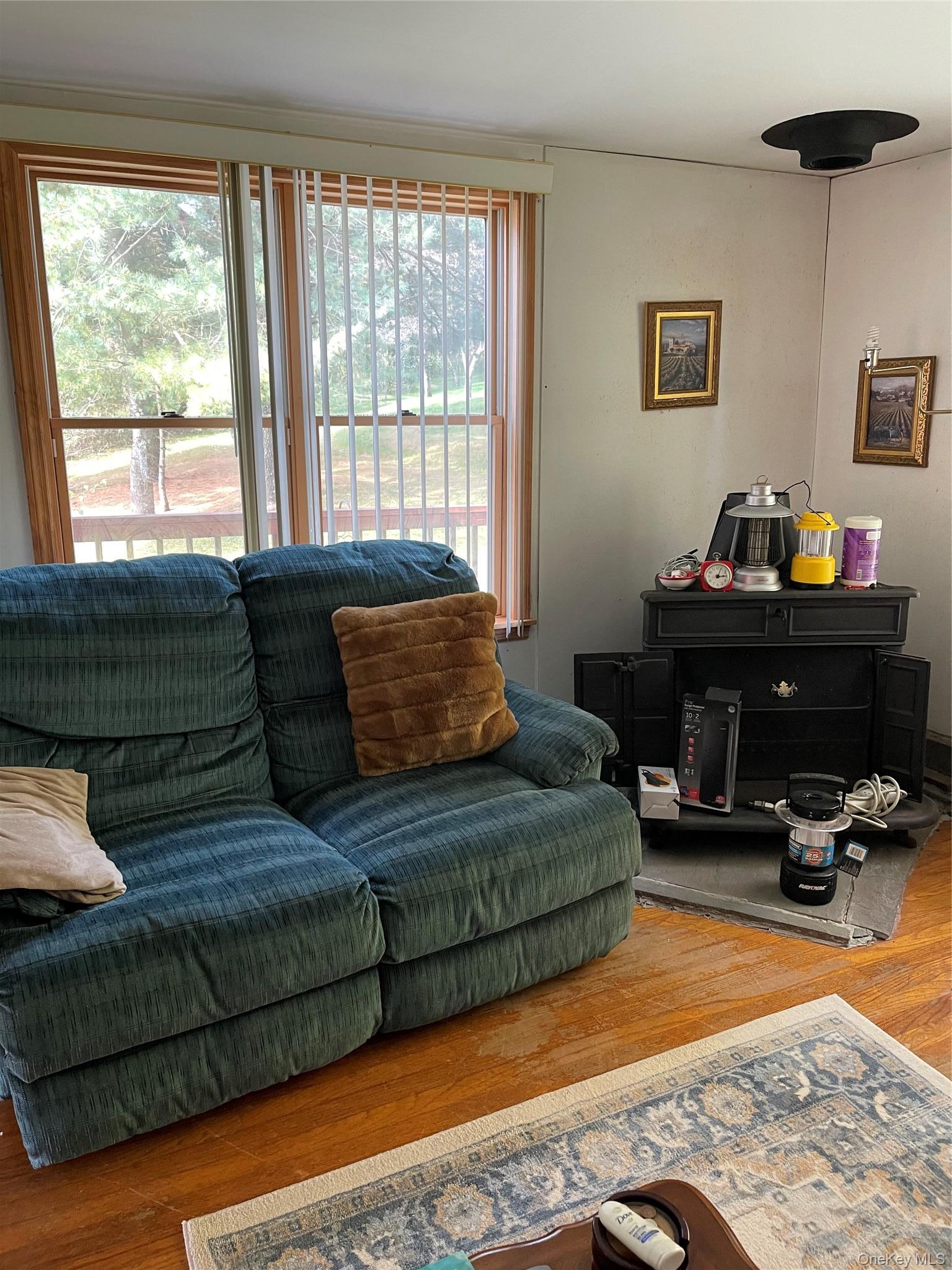 Single Family Turnpike Road  Delaware County, NY 13757, MLS-1034617-18