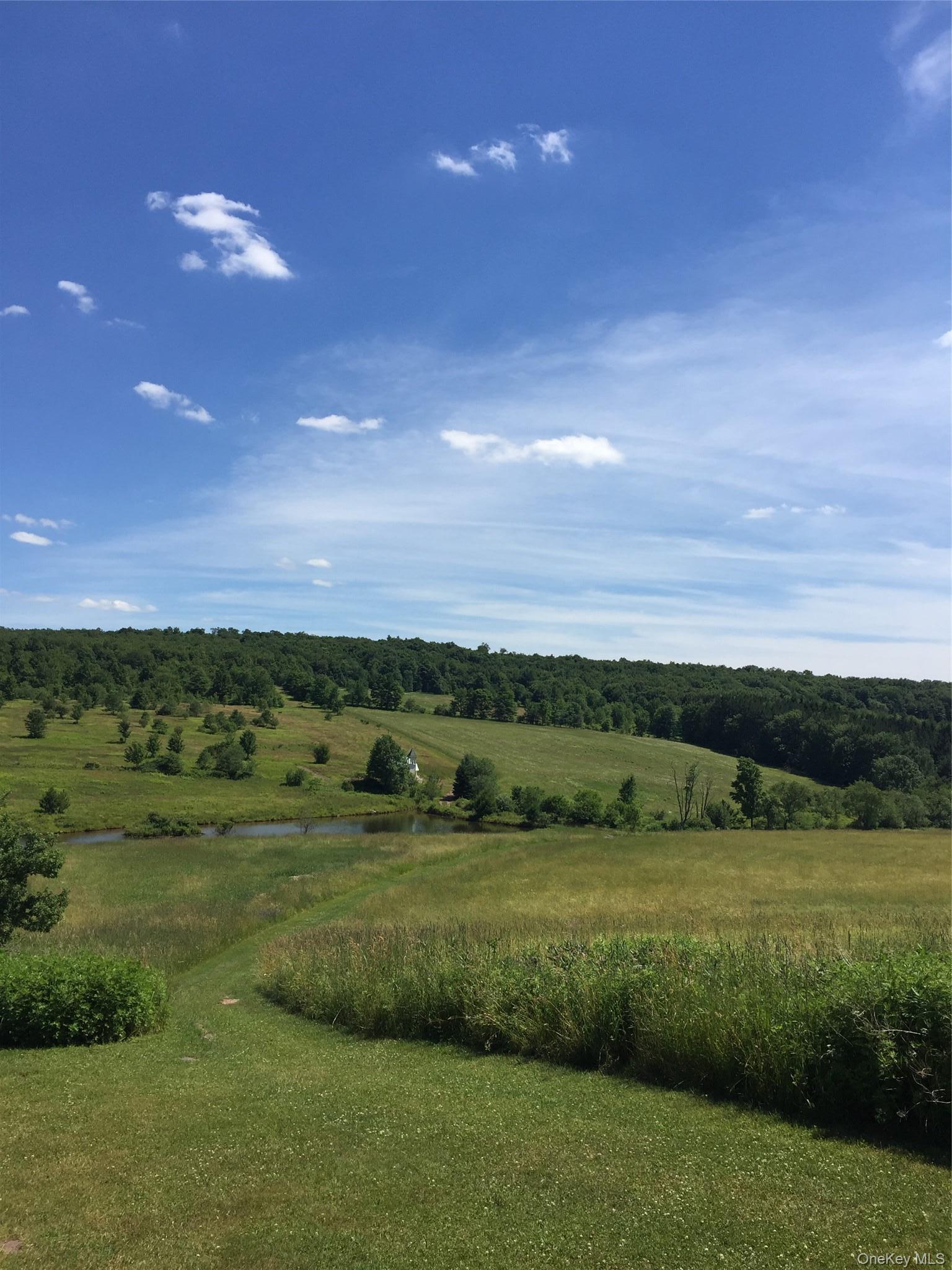 Single Family Turnpike Road  Delaware County, NY 13757, MLS-1034617-30