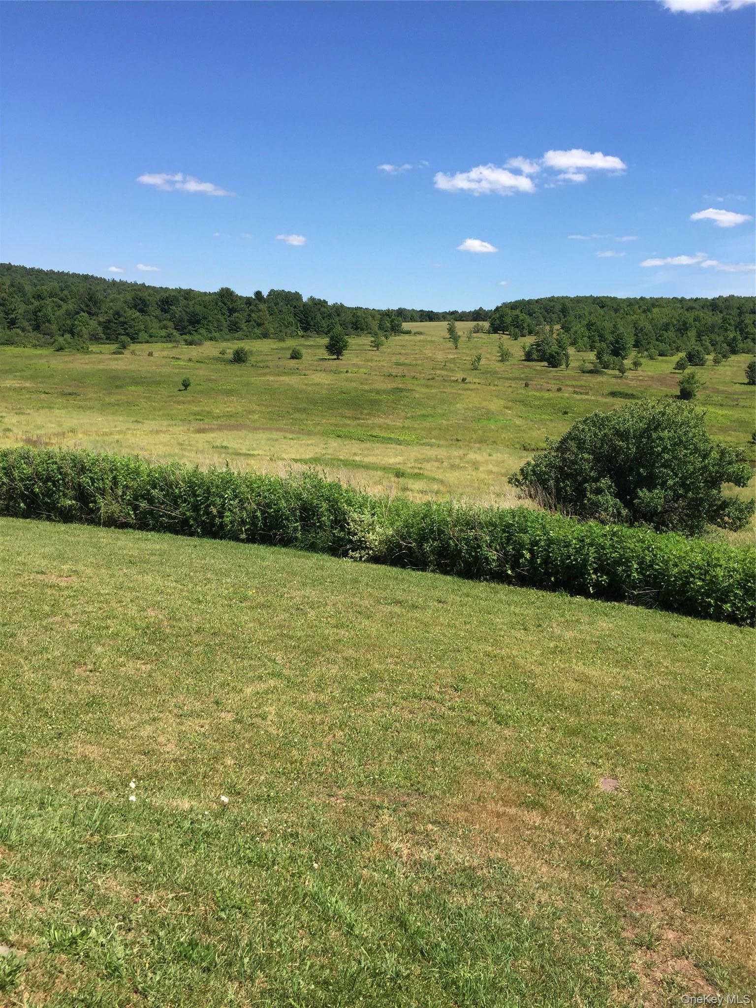 Single Family Turnpike Road  Delaware County, NY 13757, MLS-1034617-31