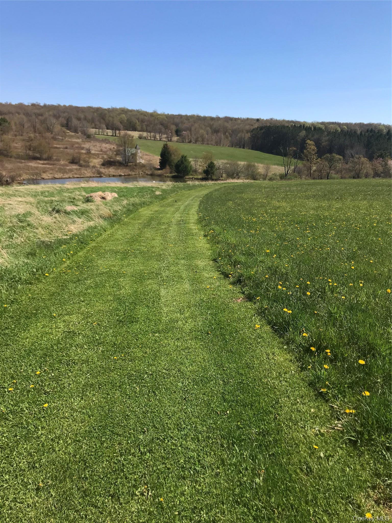 Single Family Turnpike Road  Delaware County, NY 13757, MLS-1034617-34