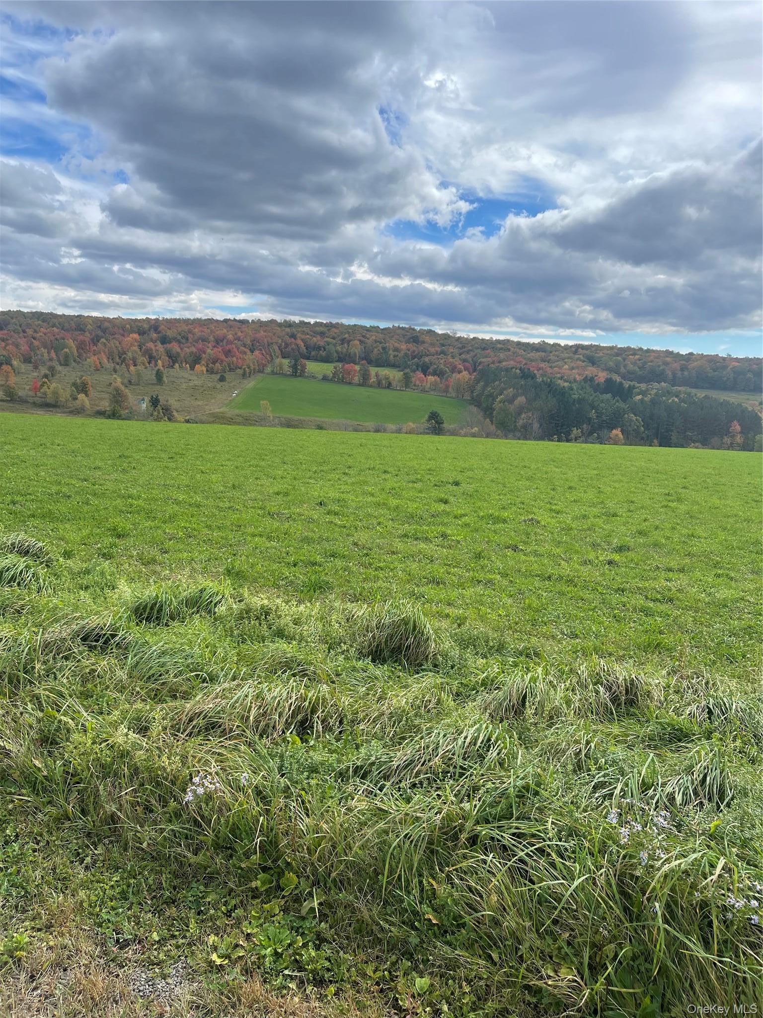 Single Family Turnpike Road  Delaware County, NY 13757, MLS-1034617-36