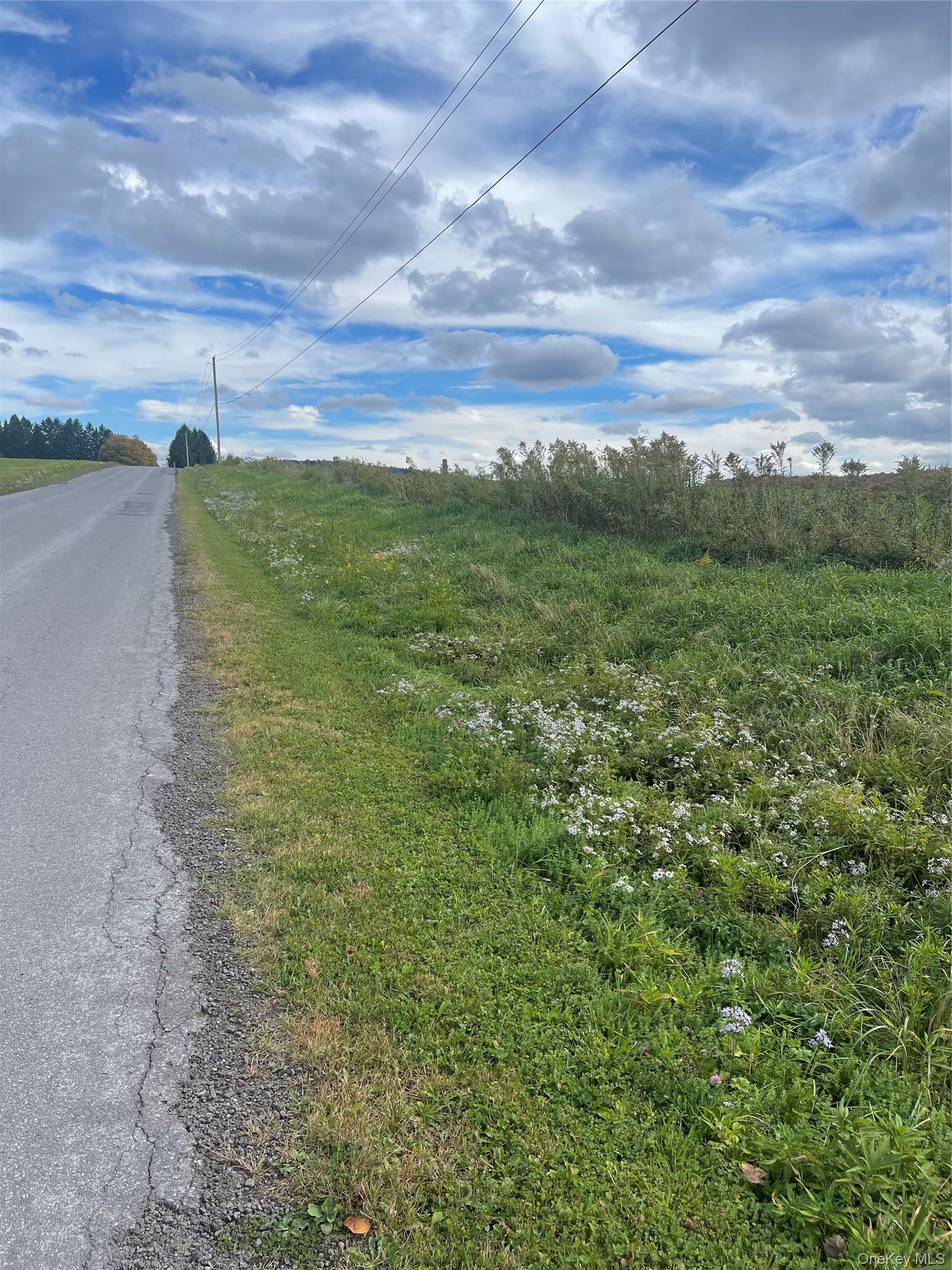 Single Family Turnpike Road  Delaware County, NY 13757, MLS-1034617-37