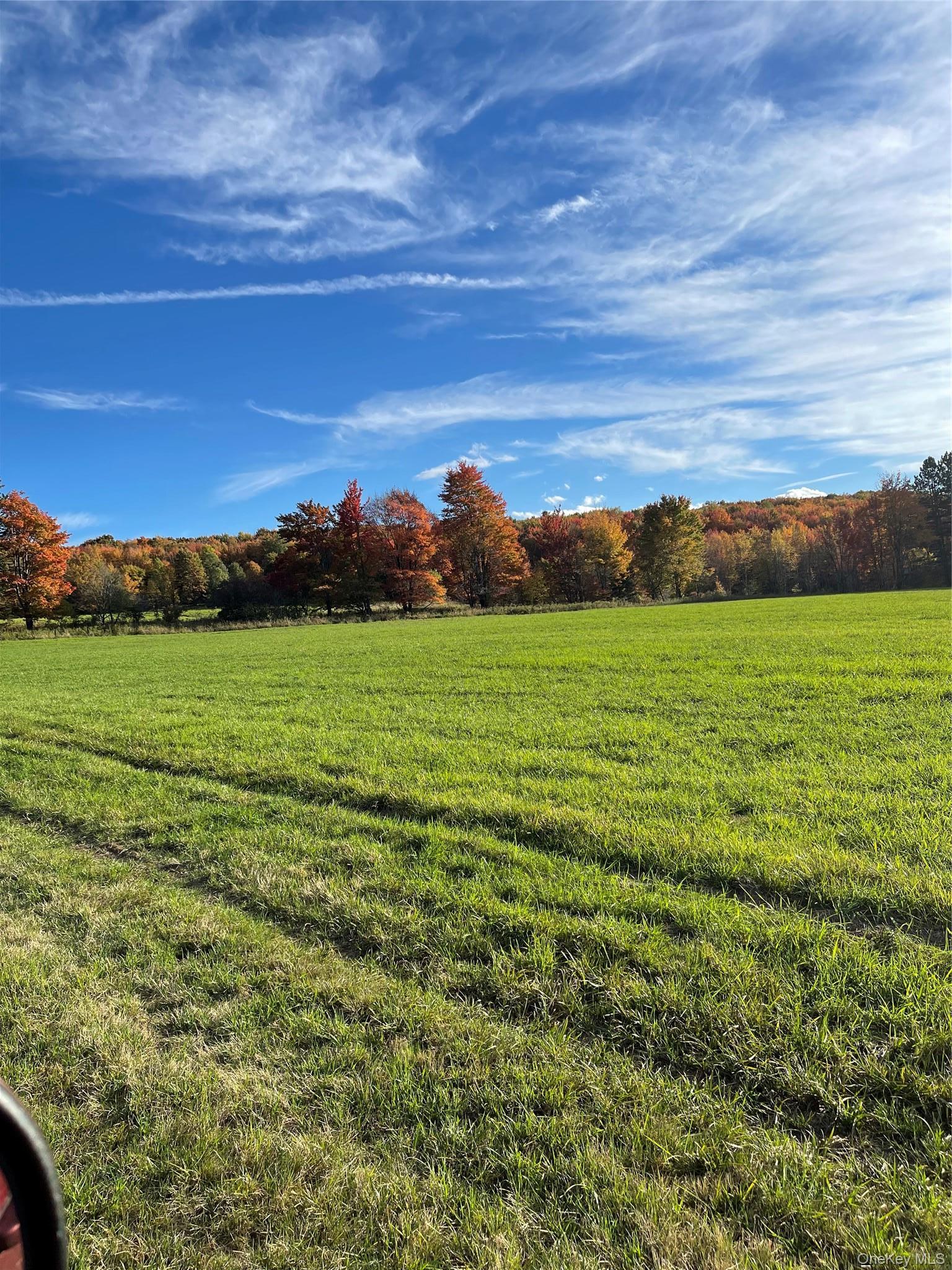 Single Family Turnpike Road  Delaware County, NY 13757, MLS-1034617-38