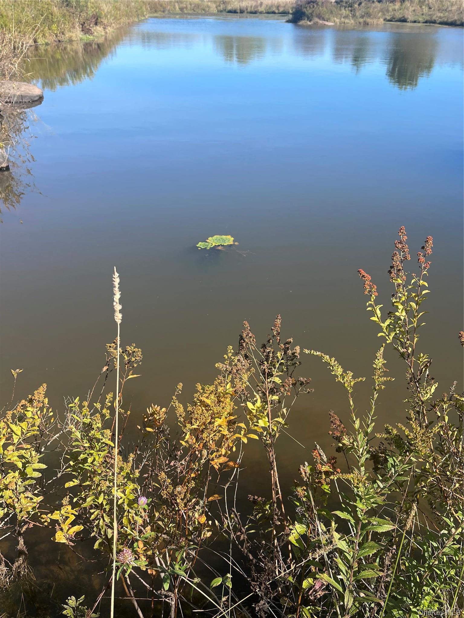 Single Family Turnpike Road  Delaware County, NY 13757, MLS-1034617-41