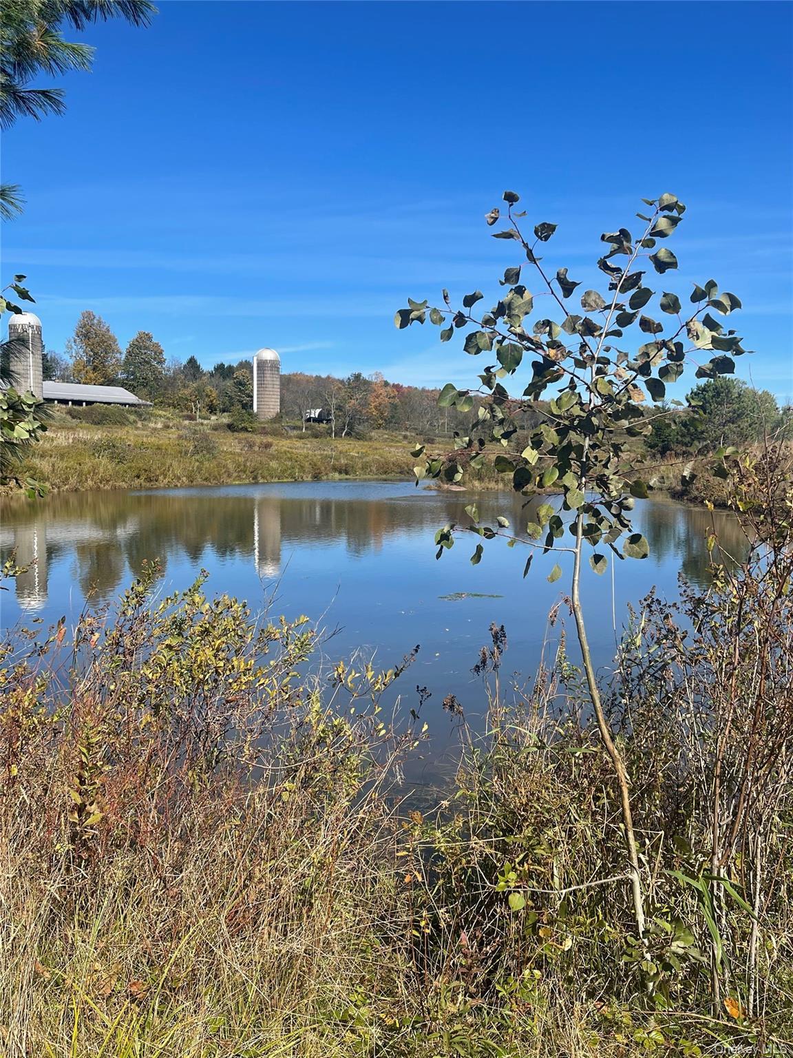 Single Family Turnpike Road  Delaware County, NY 13757, MLS-1034617-45