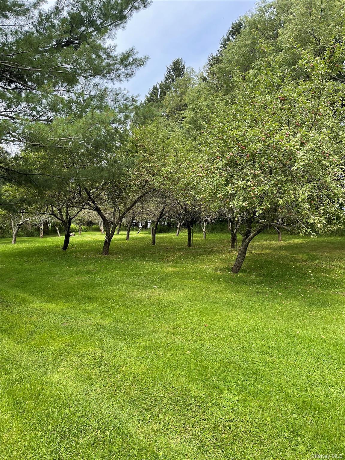 Single Family Turnpike Road  Delaware County, NY 13757, MLS-1034617-46