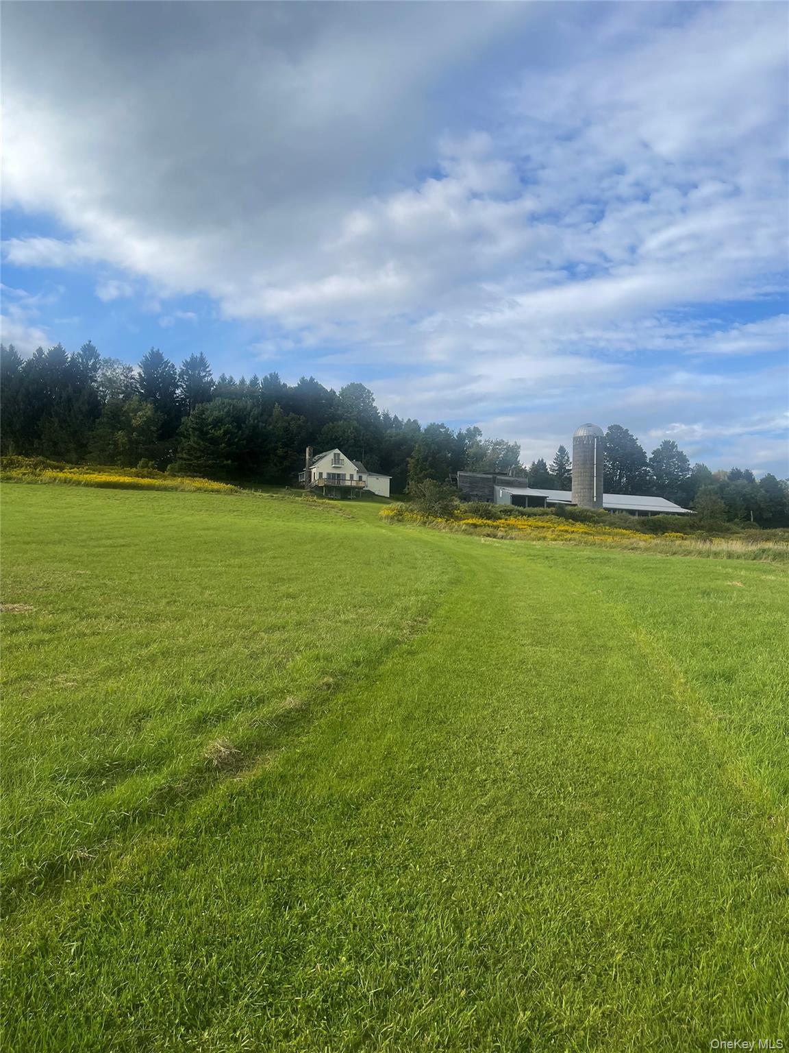 Single Family Turnpike Road  Delaware County, NY 13757, MLS-1034617-47