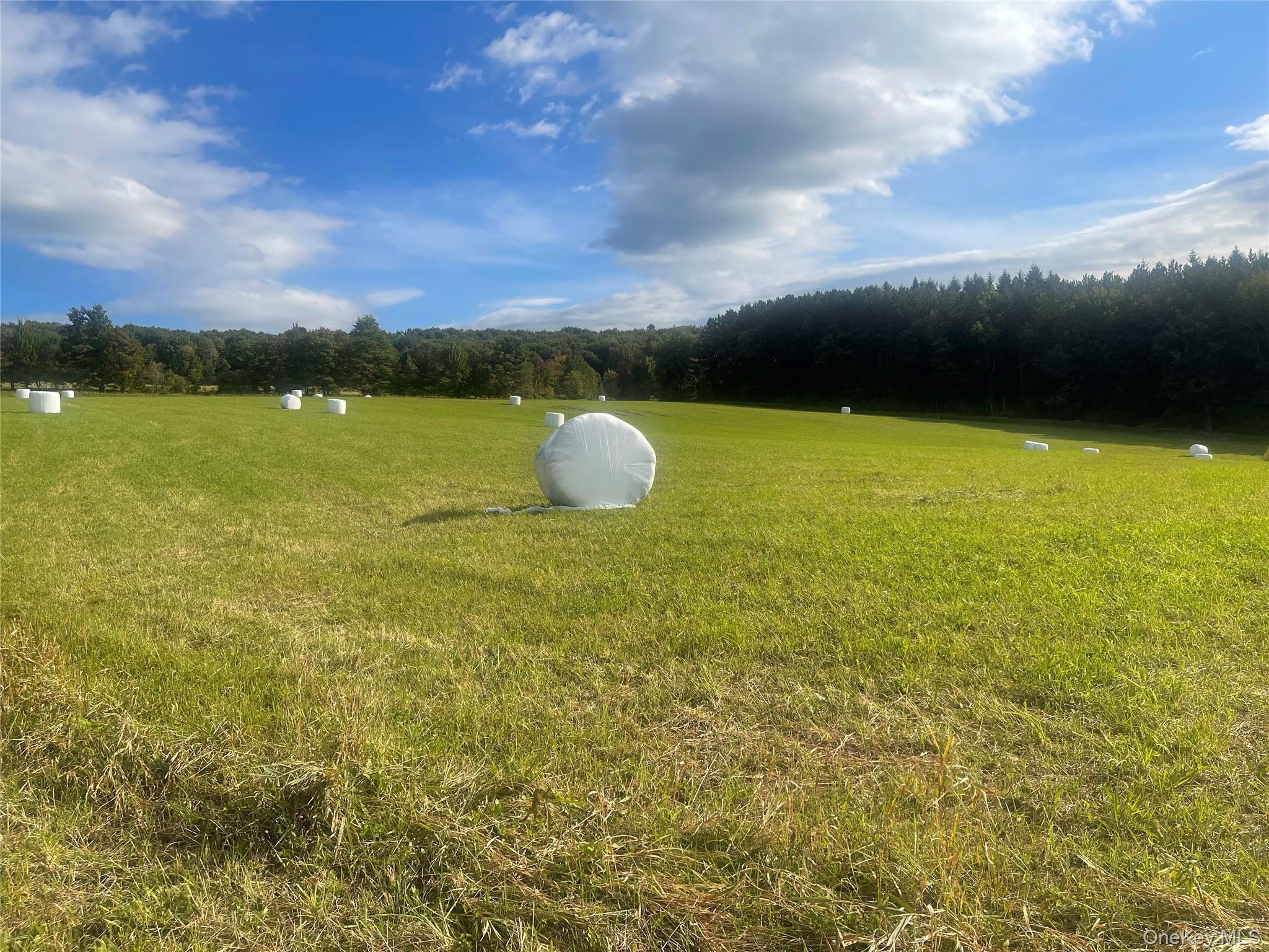 Single Family Turnpike Road  Delaware County, NY 13757, MLS-1034617-48