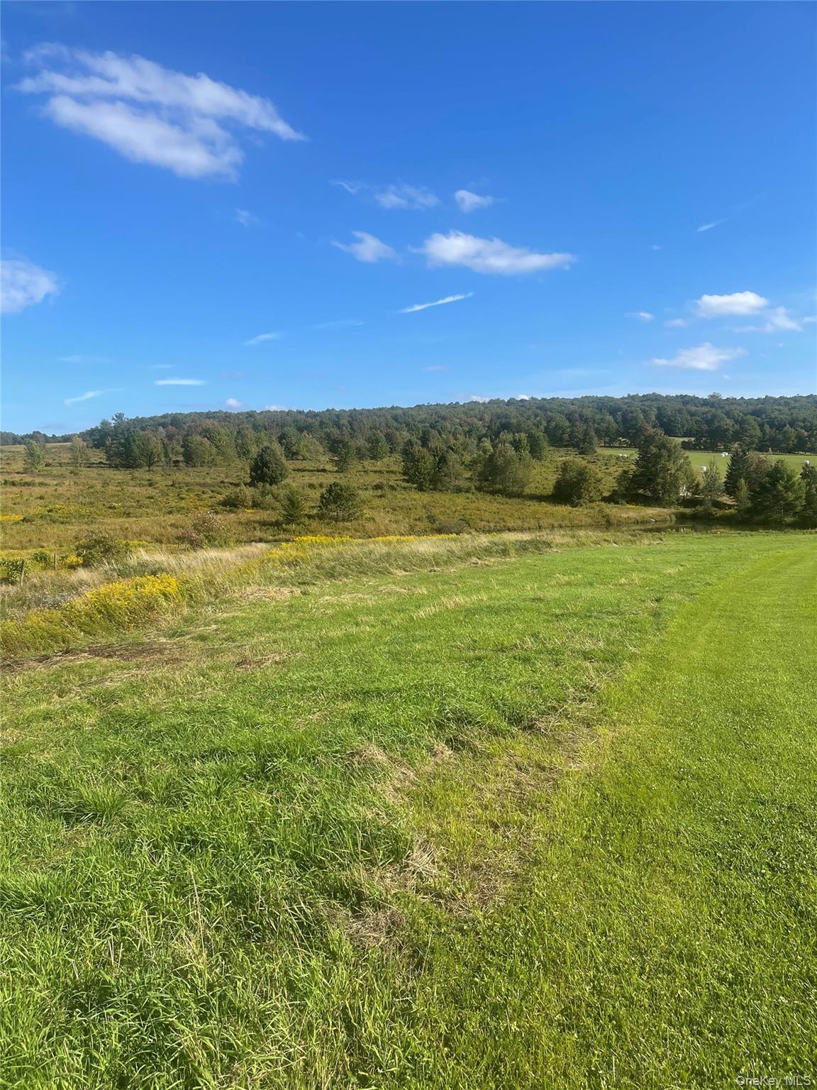 Single Family Turnpike Road  Delaware County, NY 13757, MLS-1034617-49