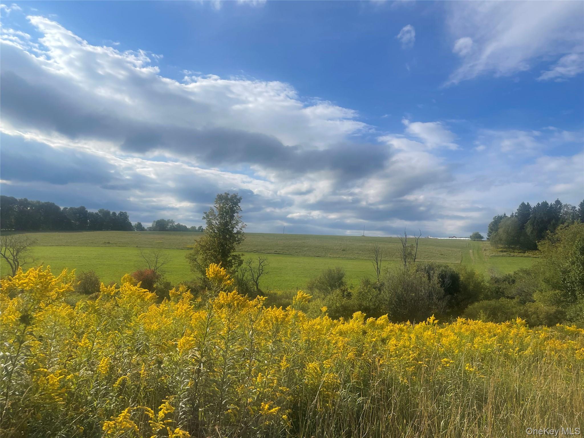 Single Family Turnpike Road  Delaware County, NY 13757, MLS-1034617-50