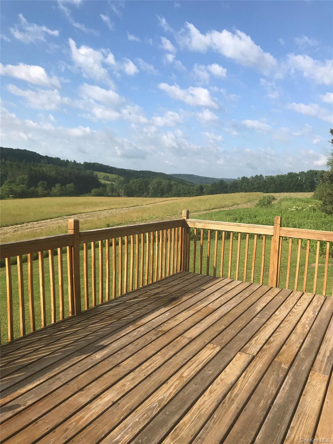 Single Family Turnpike Road  Delaware County, NY 13757, MLS-1034617-7